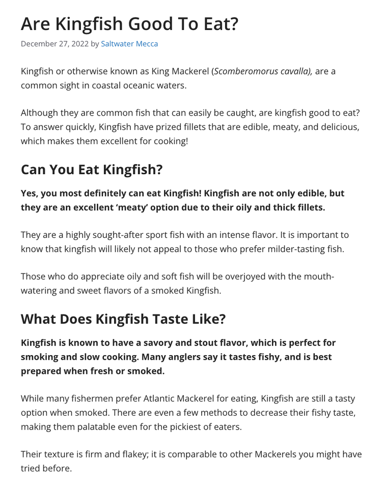 Saltwater Mecca Magazine 2023