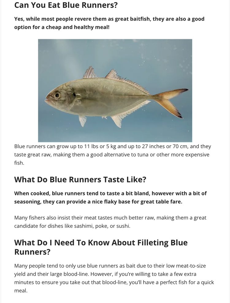 Saltwater Mecca Magazine 2023