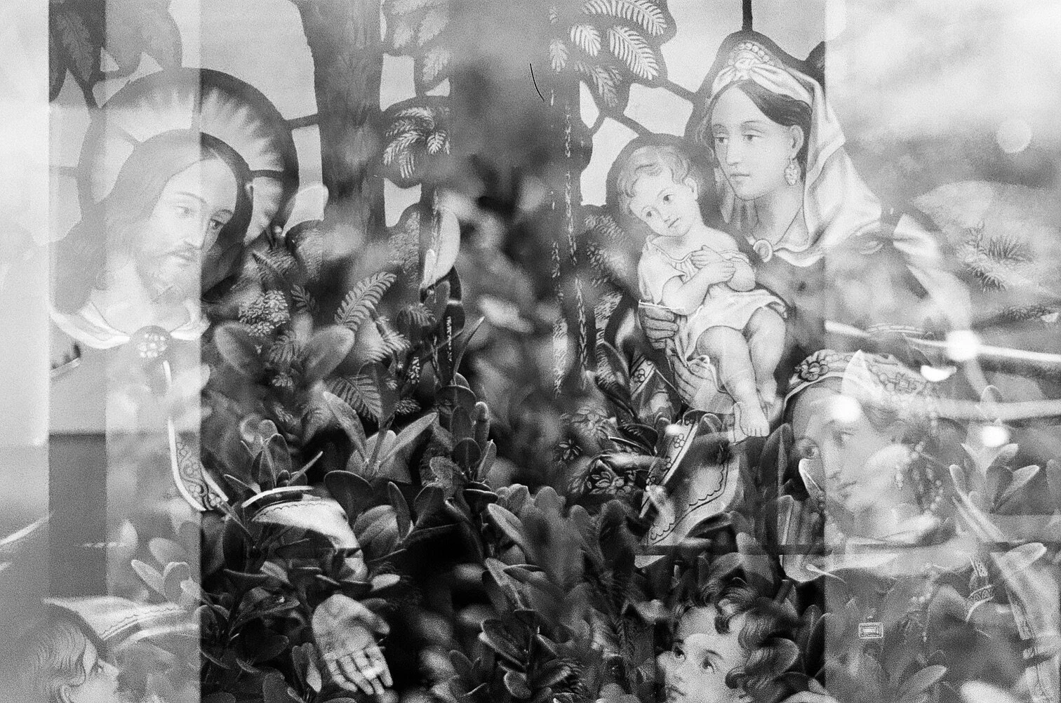 Perennial Magazine 2016