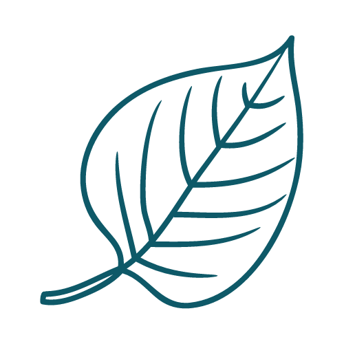 emdr intensives