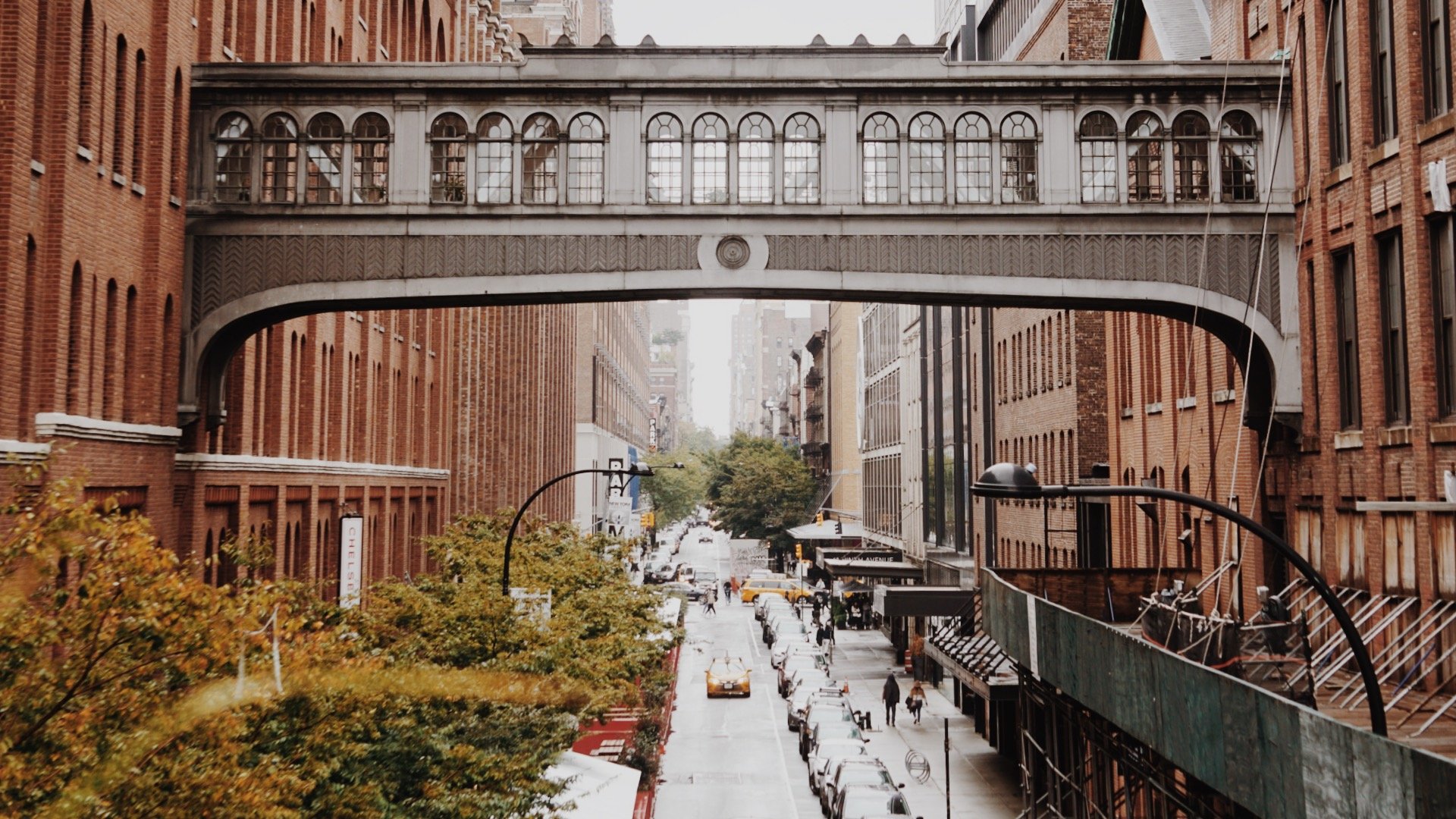 1F550E49-7D5A-497C-A445-1A633F9F0048.jpeg