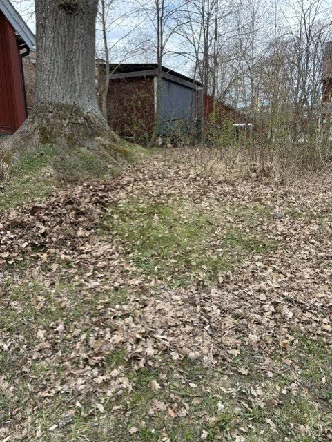 7ab44784-5829-4230-bb86-803167e60be6.jpg