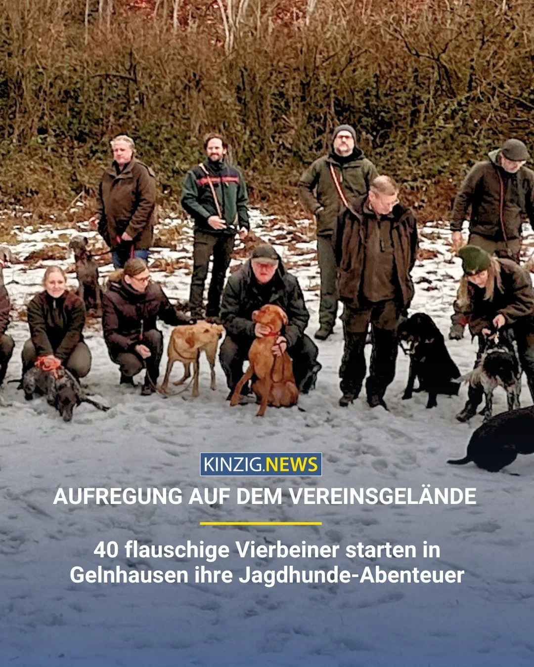 In Gelnhausen starten 40 Jagdhunde in die neue Saison. Auf dem Programm stehen Gehorsam, Praxis&uuml;bungen und Vorbereitung auf echte Jagdeins&auml;tze.

Den Link zum vollst&auml;ndigen Artikel gibt es in unserer Instagram-Story oder auf kinzig.news
