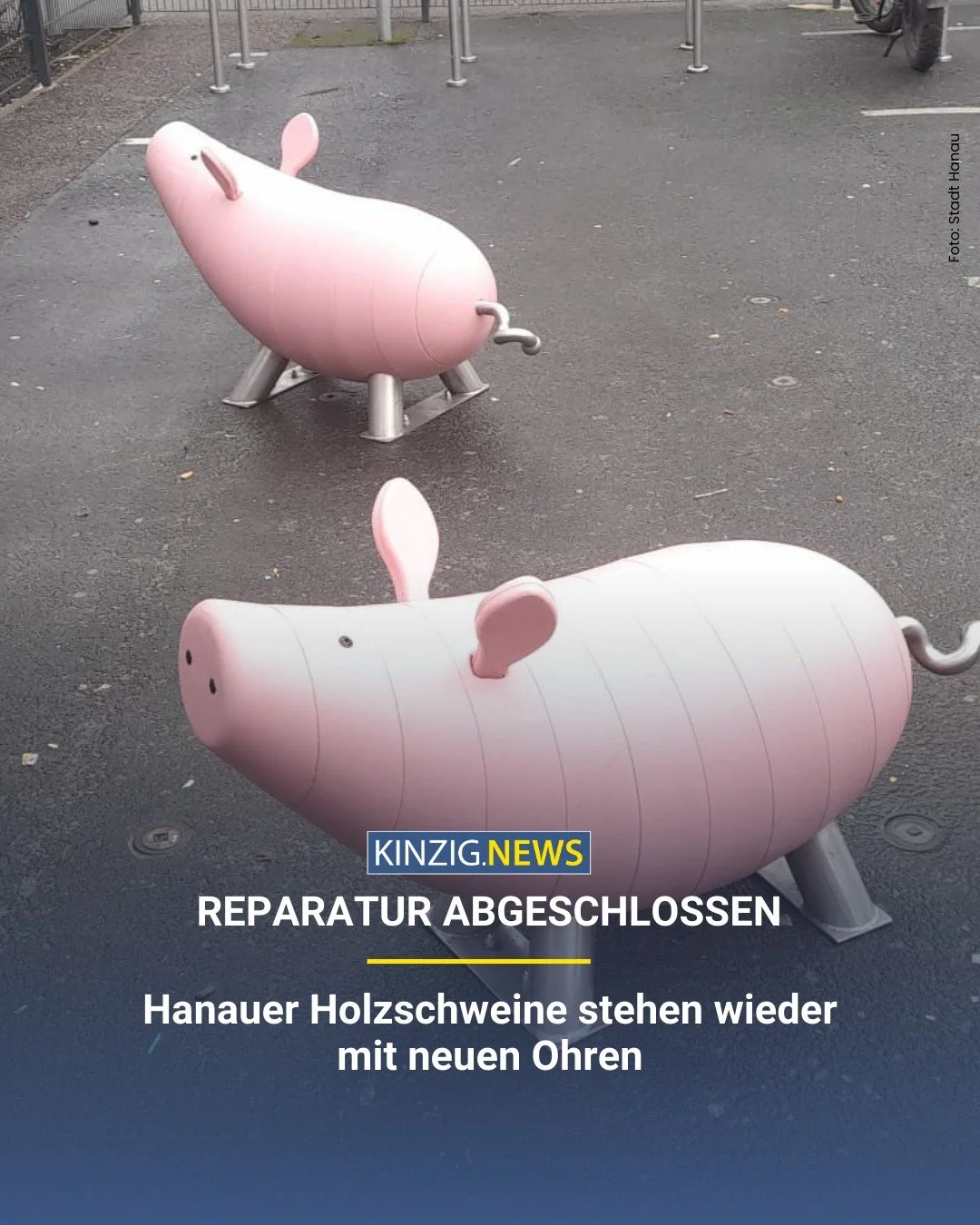 Ohren zur&uuml;ck, Schweine wieder ganz: Nach &uuml;blem Vandalismus hat der Spielplatz "Am Schweinemarkt " seine Holzschweine zur&uuml;ck &ndash; st&auml;rker als je zuvor.

Den Link zum vollst&auml;ndigen Artikel gibt es in unserer Instag