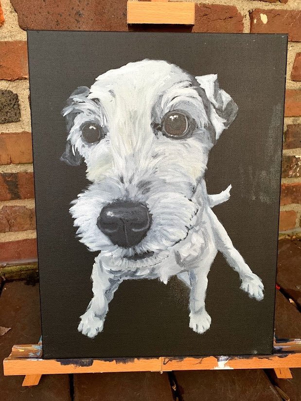 Scruffy White Dog