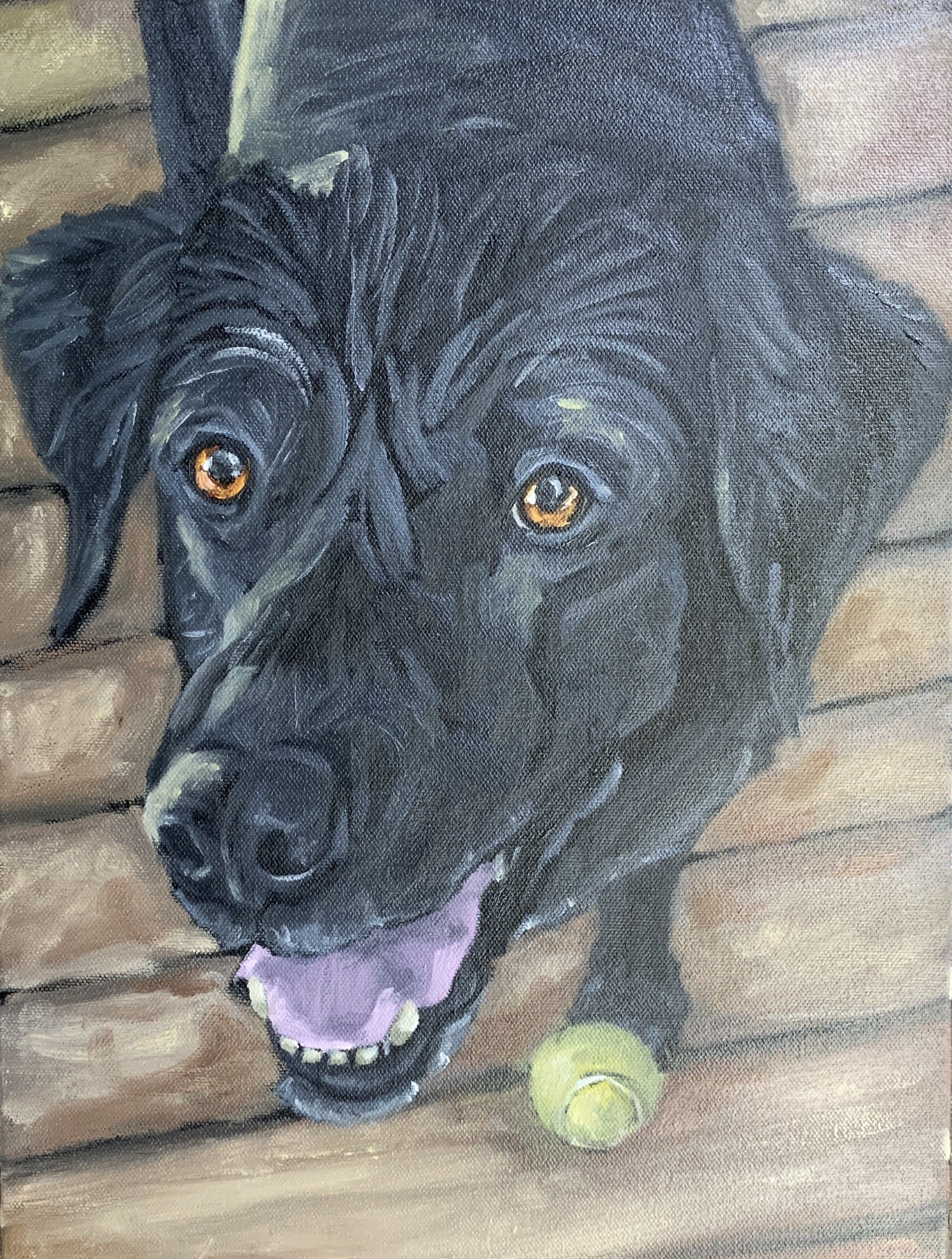 Wed Dog Relentlessly Wanting to Fetch