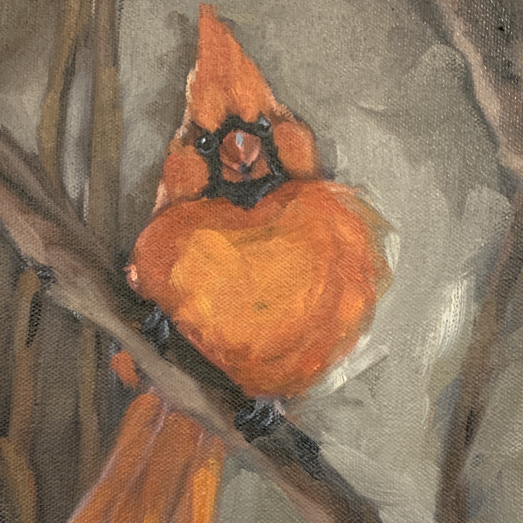 Red Cardinal Winter Beacon Hope When You Have Lost Loved One