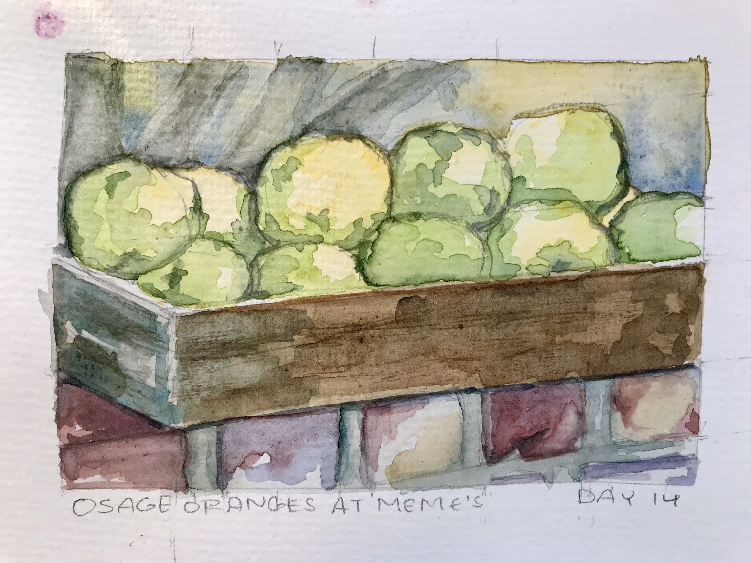 Osage Oranges Wooden Crate Brick Wall