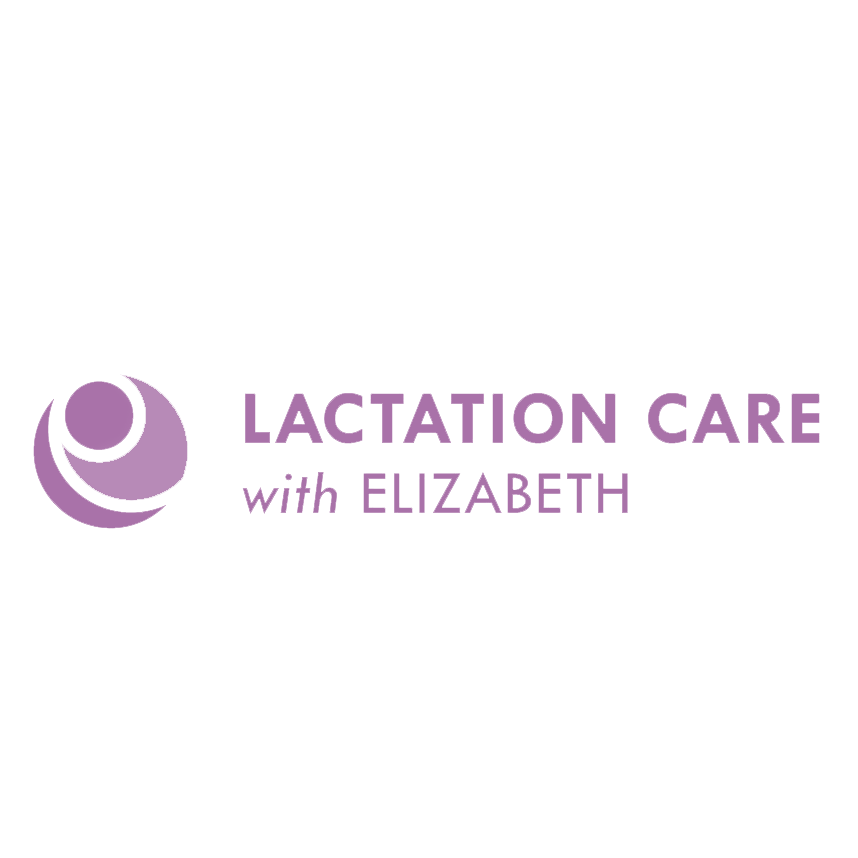 Logo for Lactation Care with Elizabeth featuring a stylized purple graphic of a mother nursing a baby, with the text 'Lactation Care with Elizabeth' in purple.