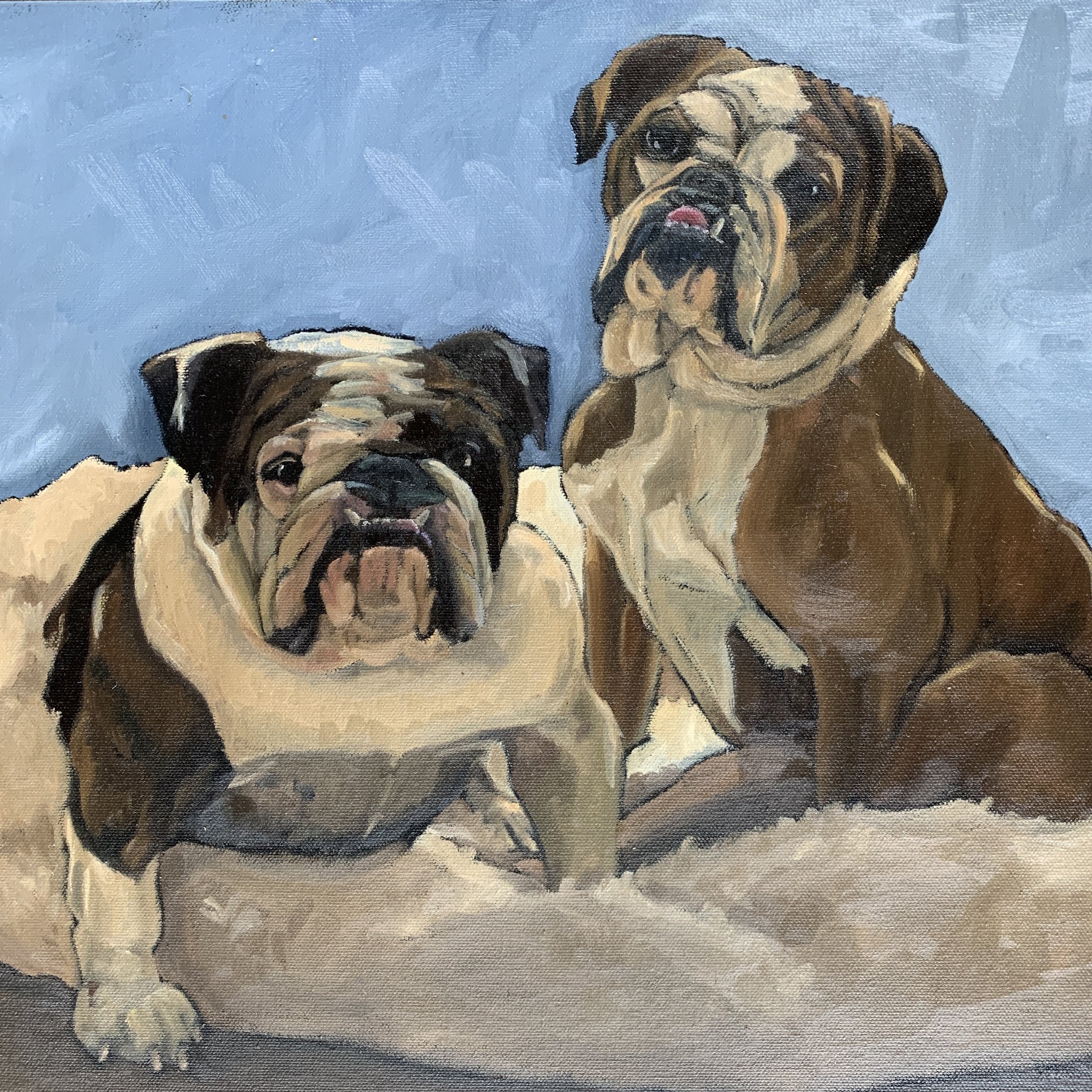 Double Dog Portrait Bulldogs