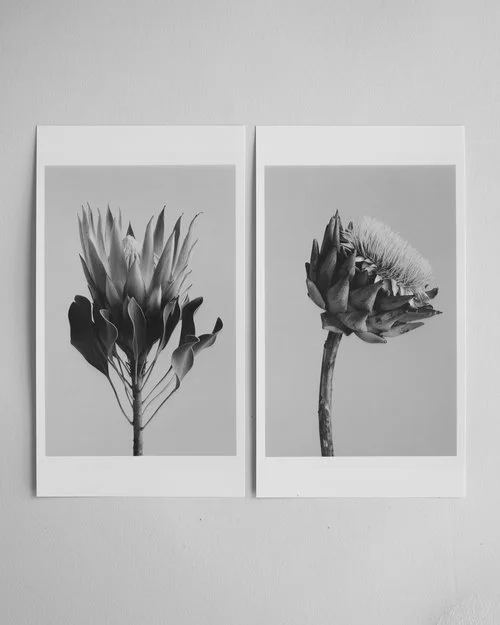 Flowers in the Bermondsey Studio, London, '23