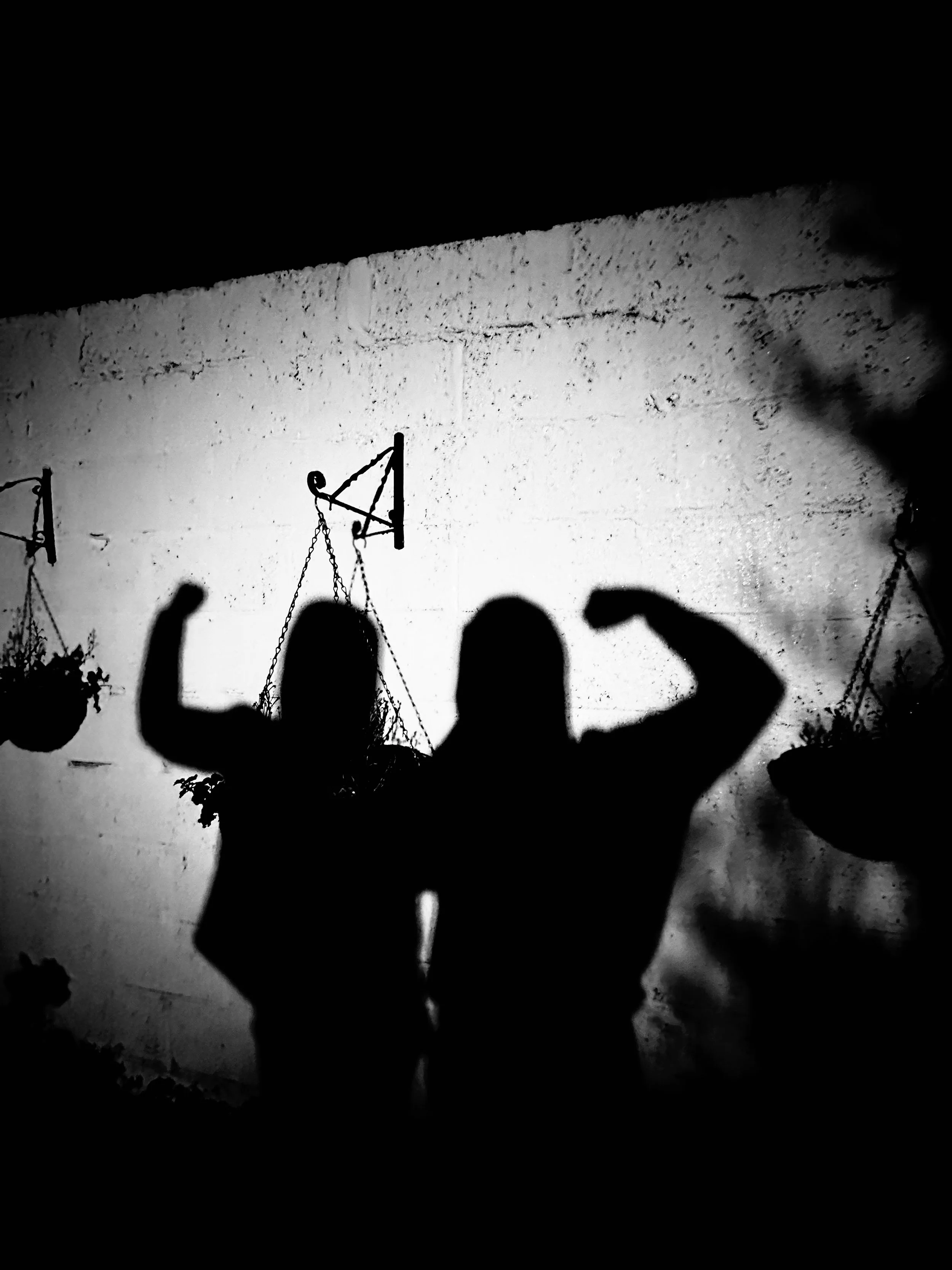 Shadows 4.jpg