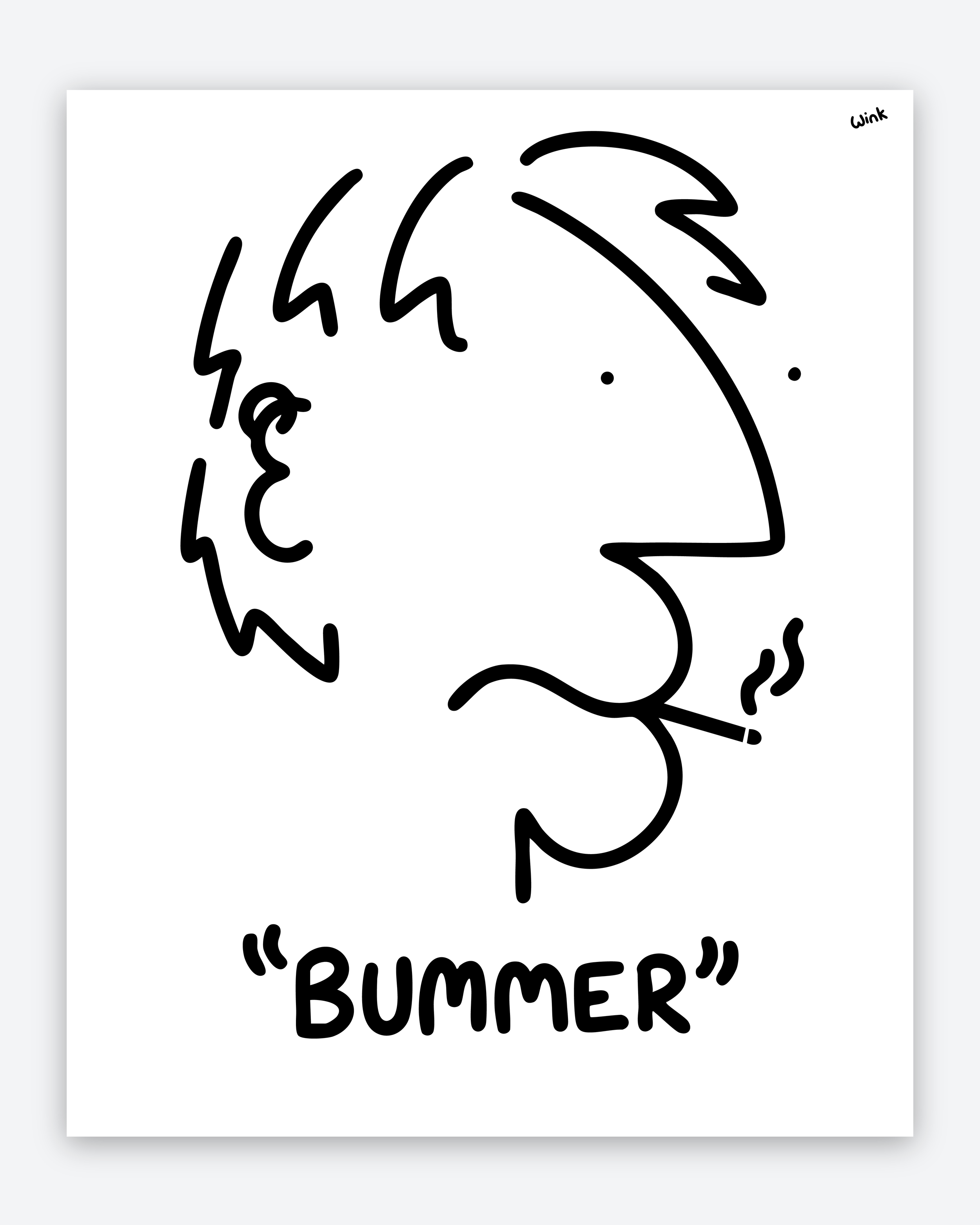 BUMMER HEADS 2 IG.png