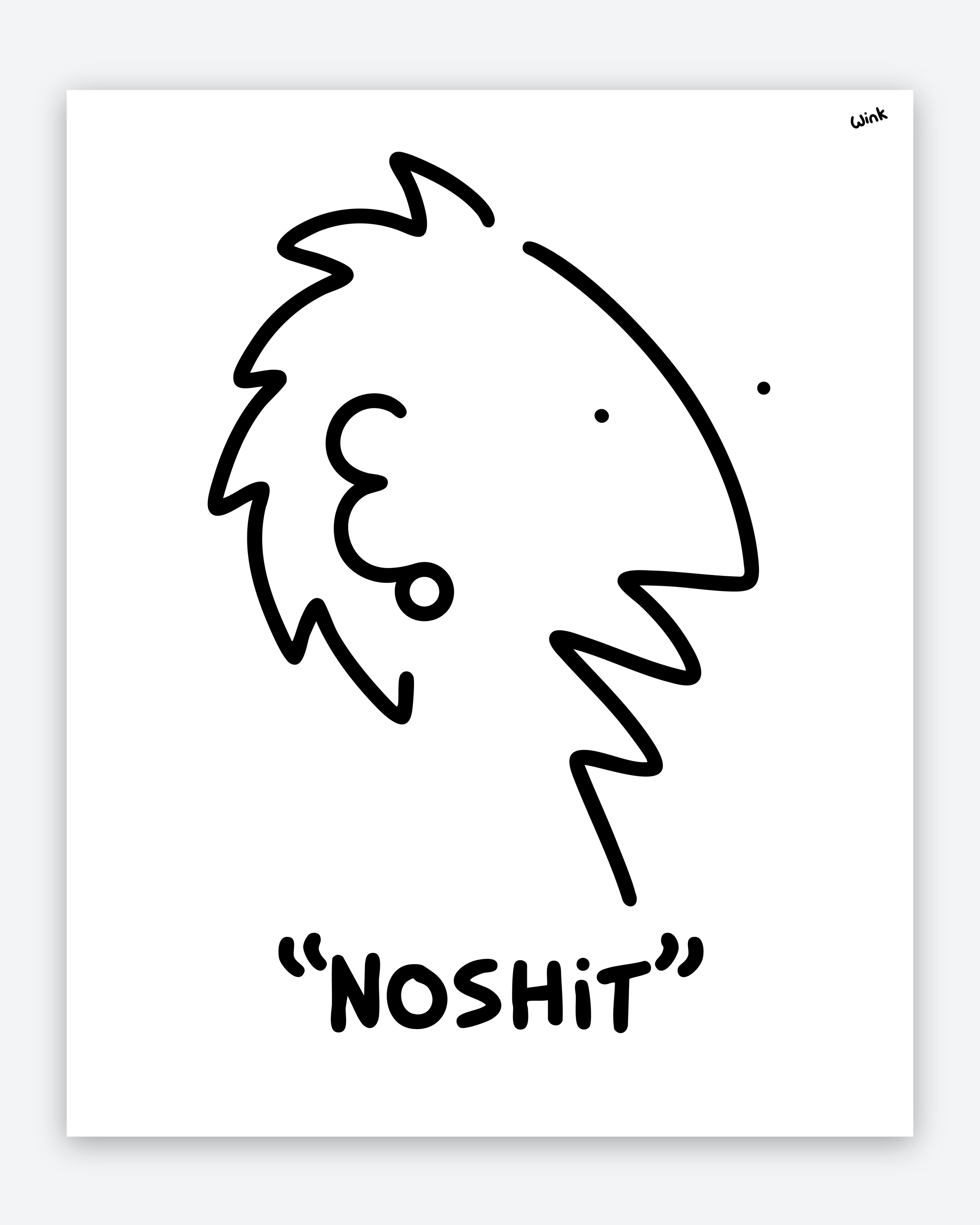 NOSHIT HEADS 2 IG.png