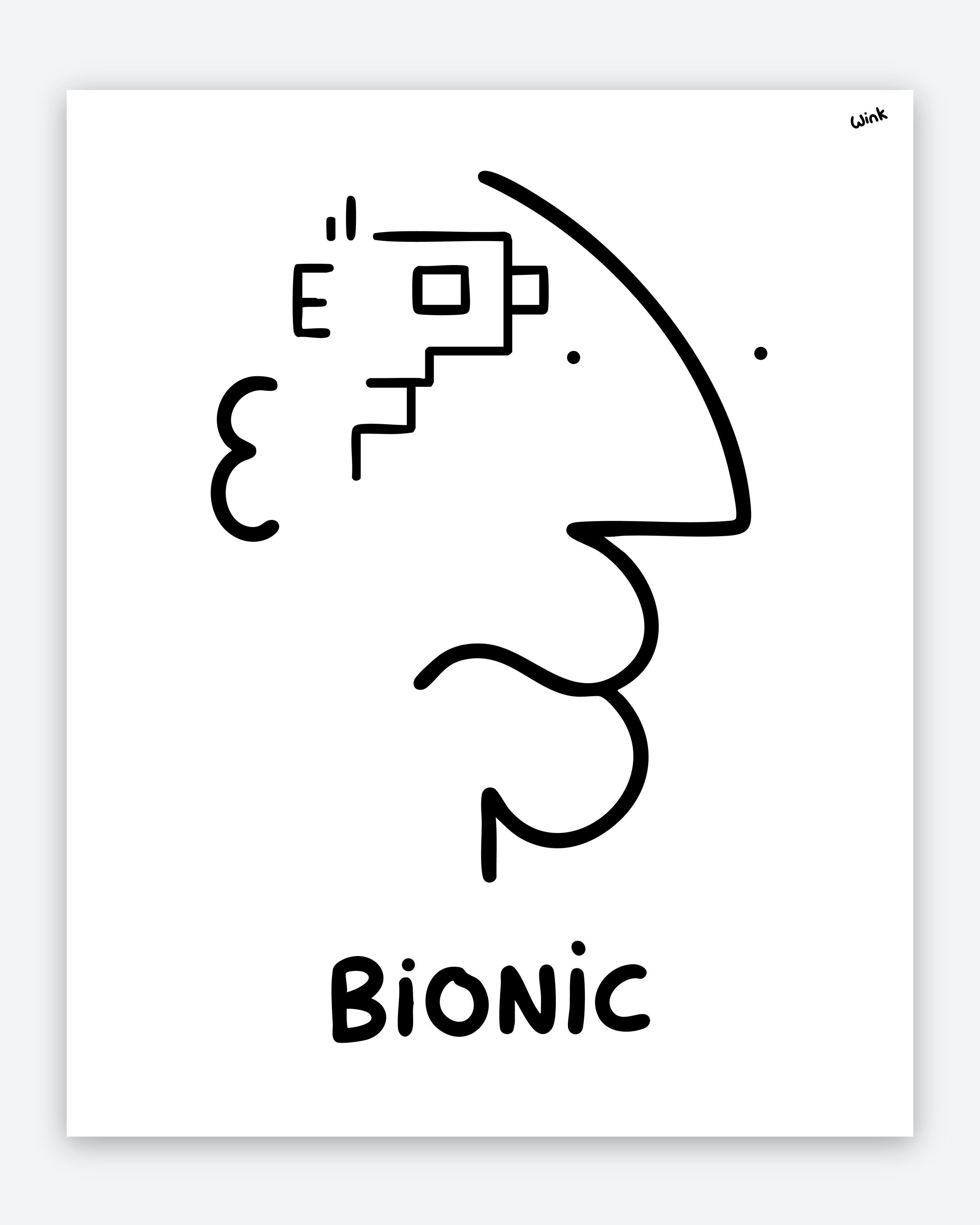 BIONIC HEADS 2 IG.png