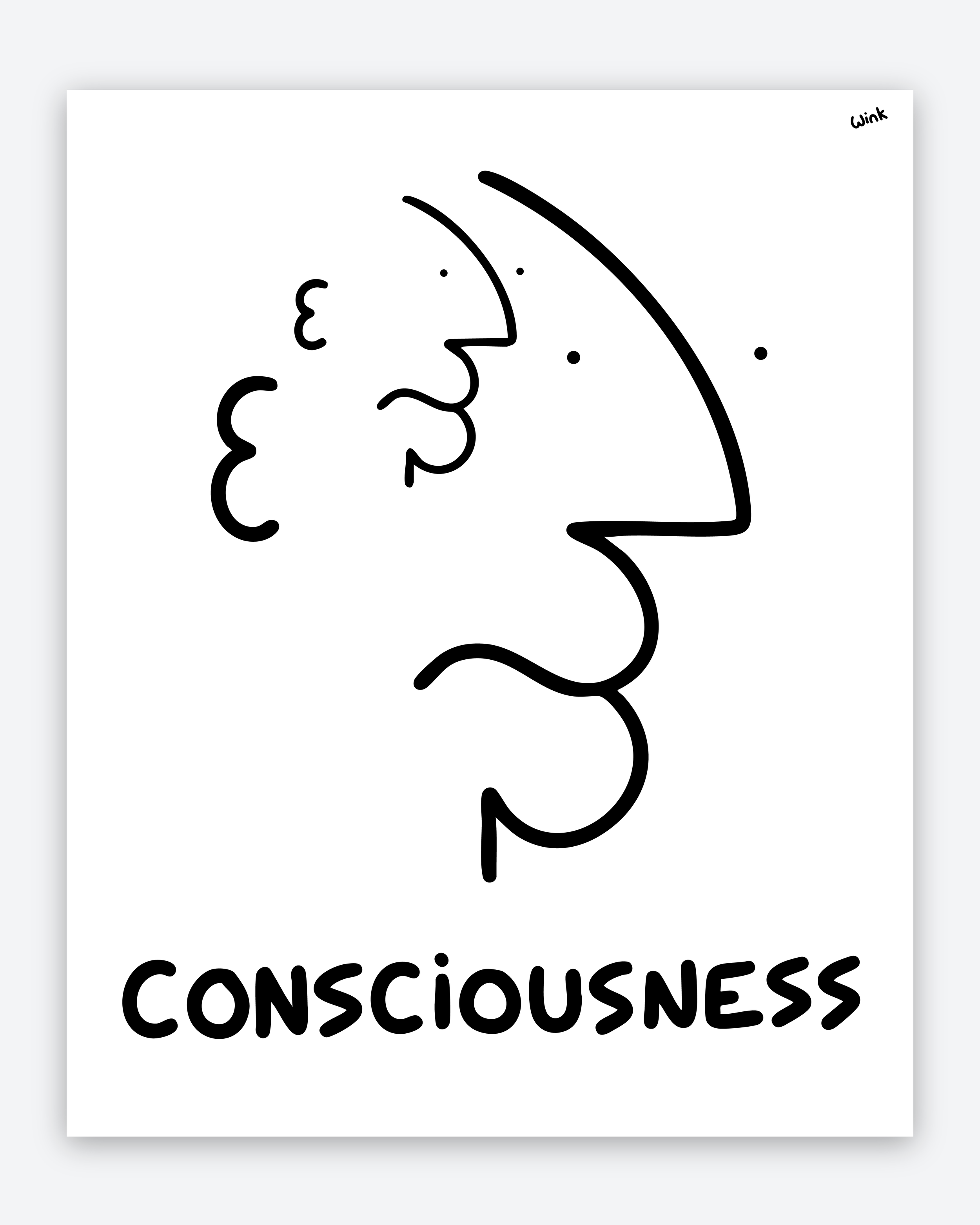 CONSCISOUNESS 2 HEADS 2 IG.png