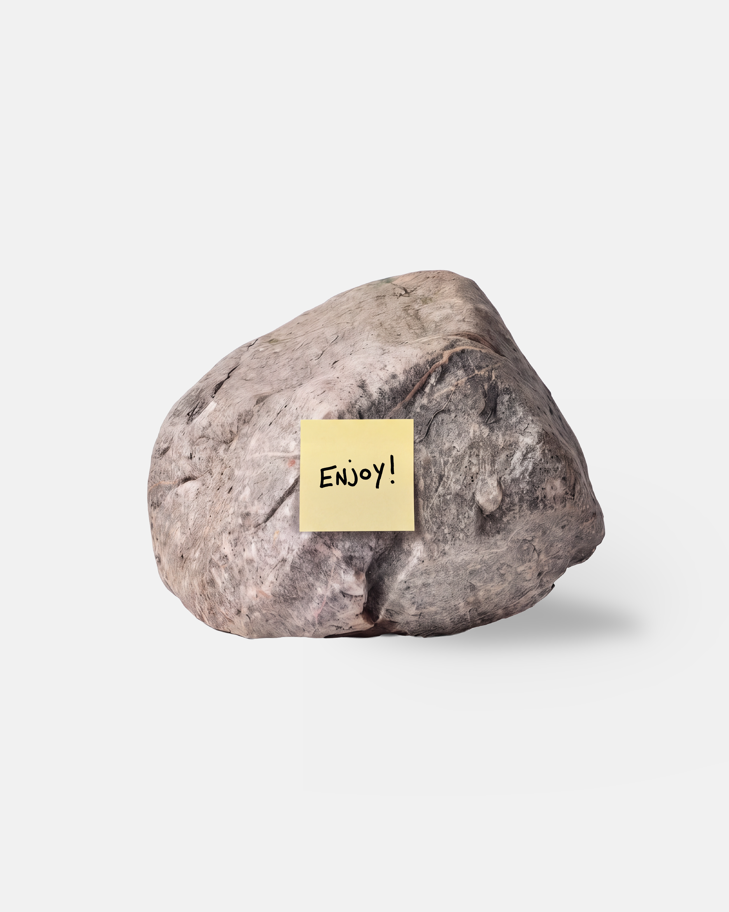 ENJOY MOCK UP ONE.png