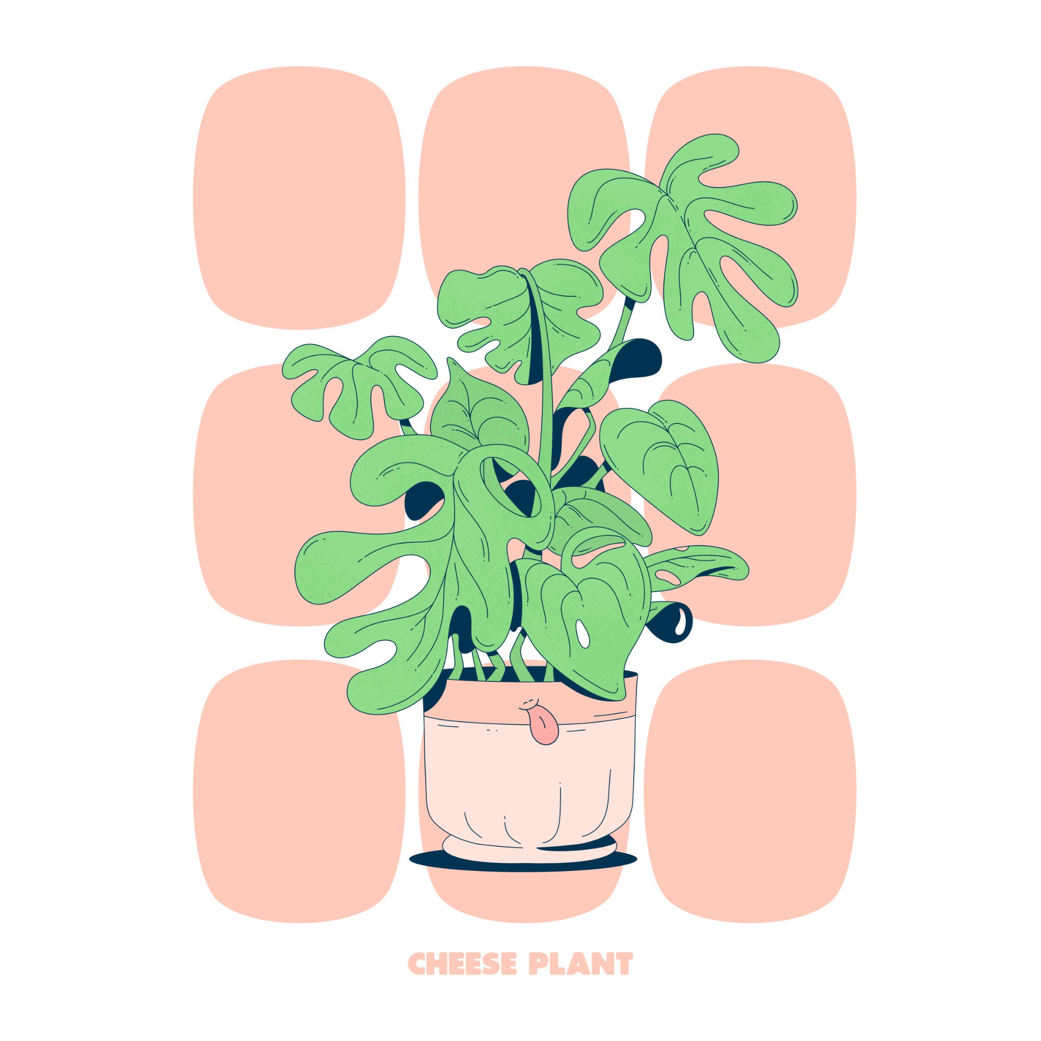 CHEESE PLANT - ORANGE - SQ.jpg