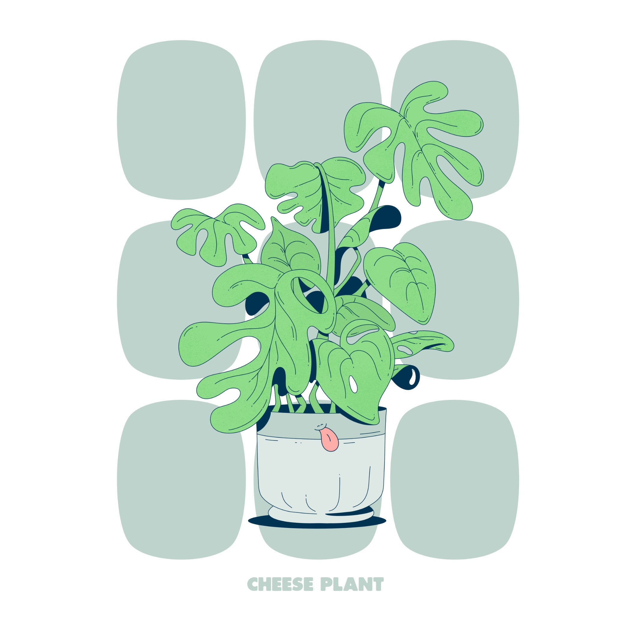 CHEESE PLANT - GREEN - SQ.jpg