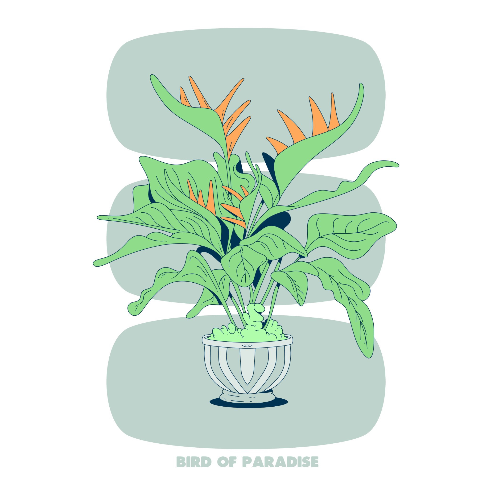 BIRD OF PARADISE - GREEN - SQ.jpg