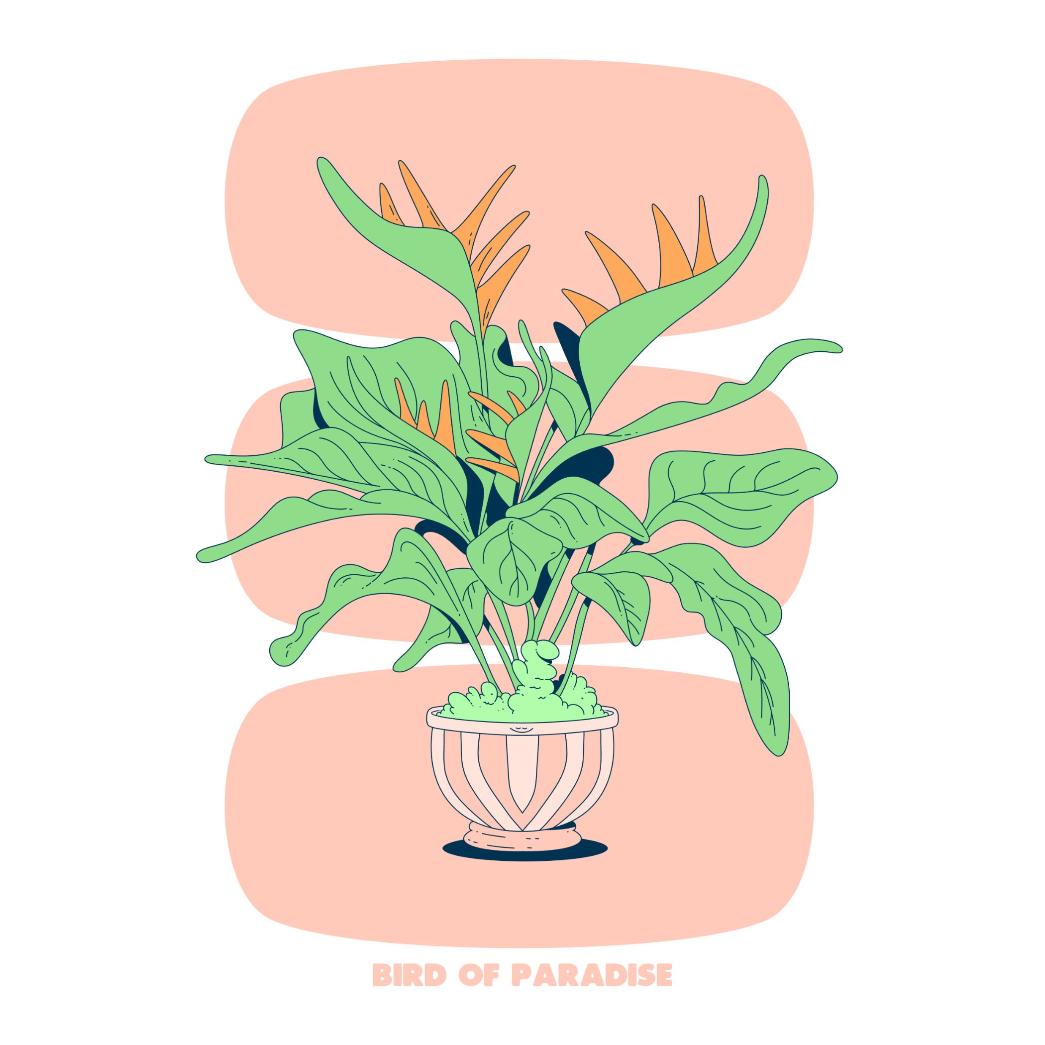 BIRD OF PARADISE - ORANGE - SQ.jpg