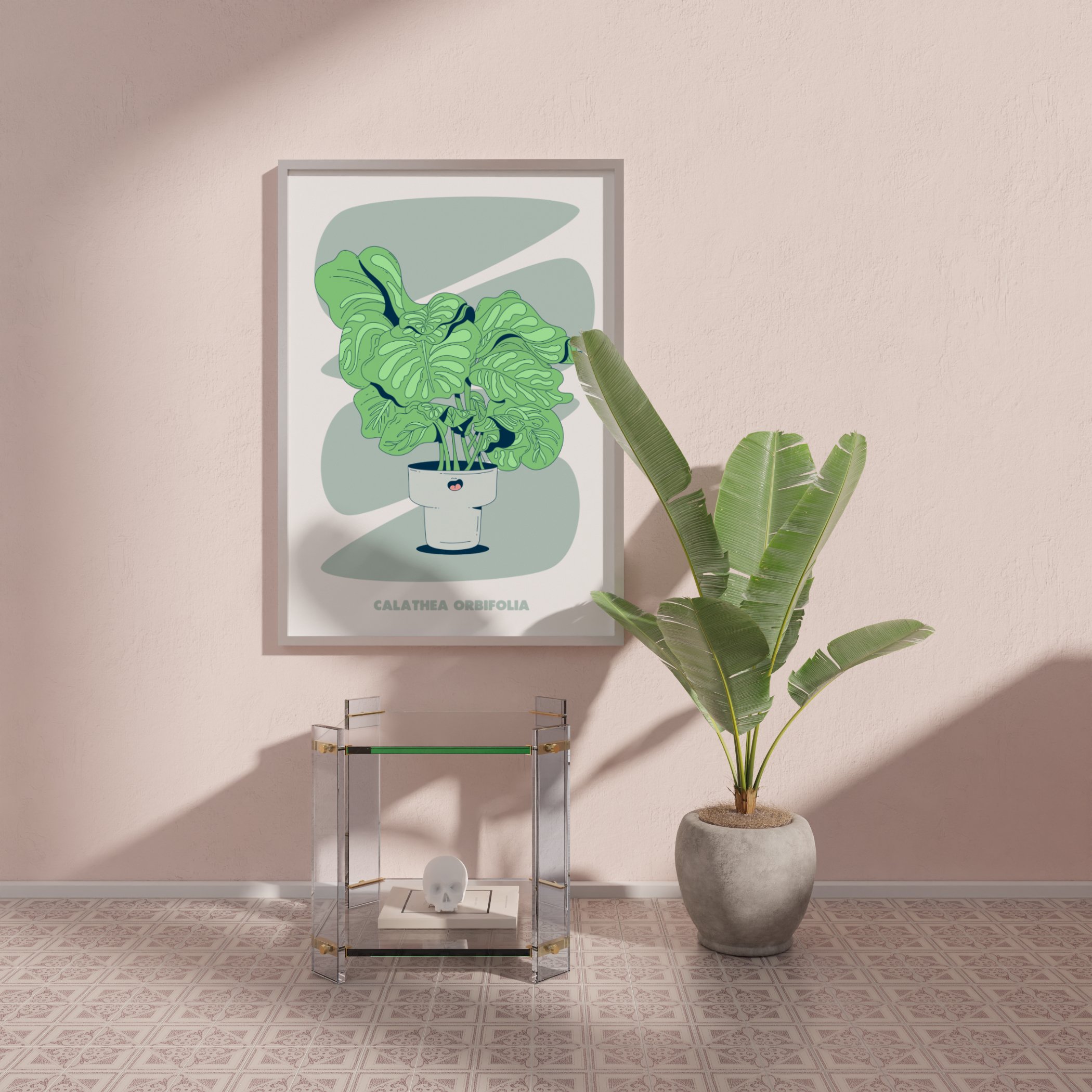 CALATHEA ORBIFOLIA - GREEN - MU2.jpg