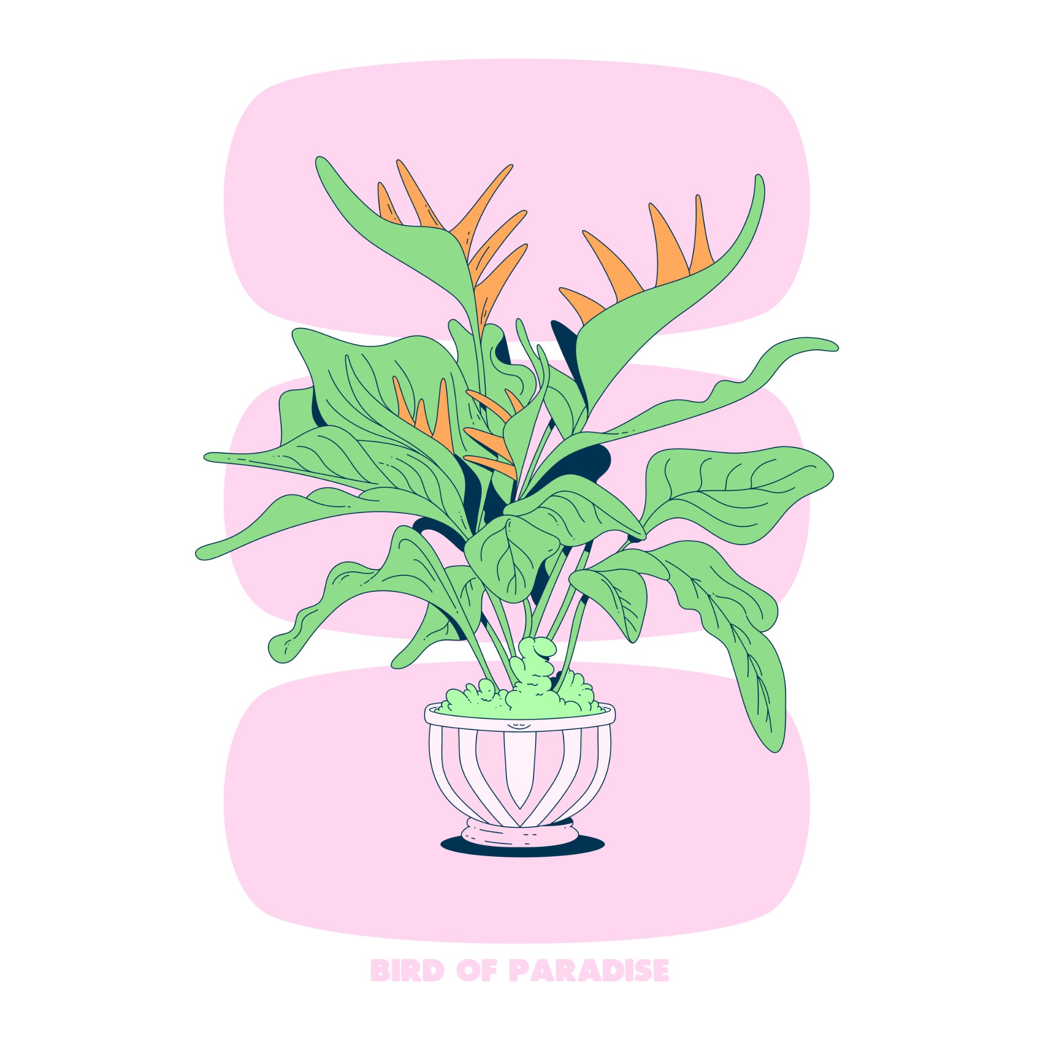 BIRD OF PARADISE - PINK - SQ.jpg