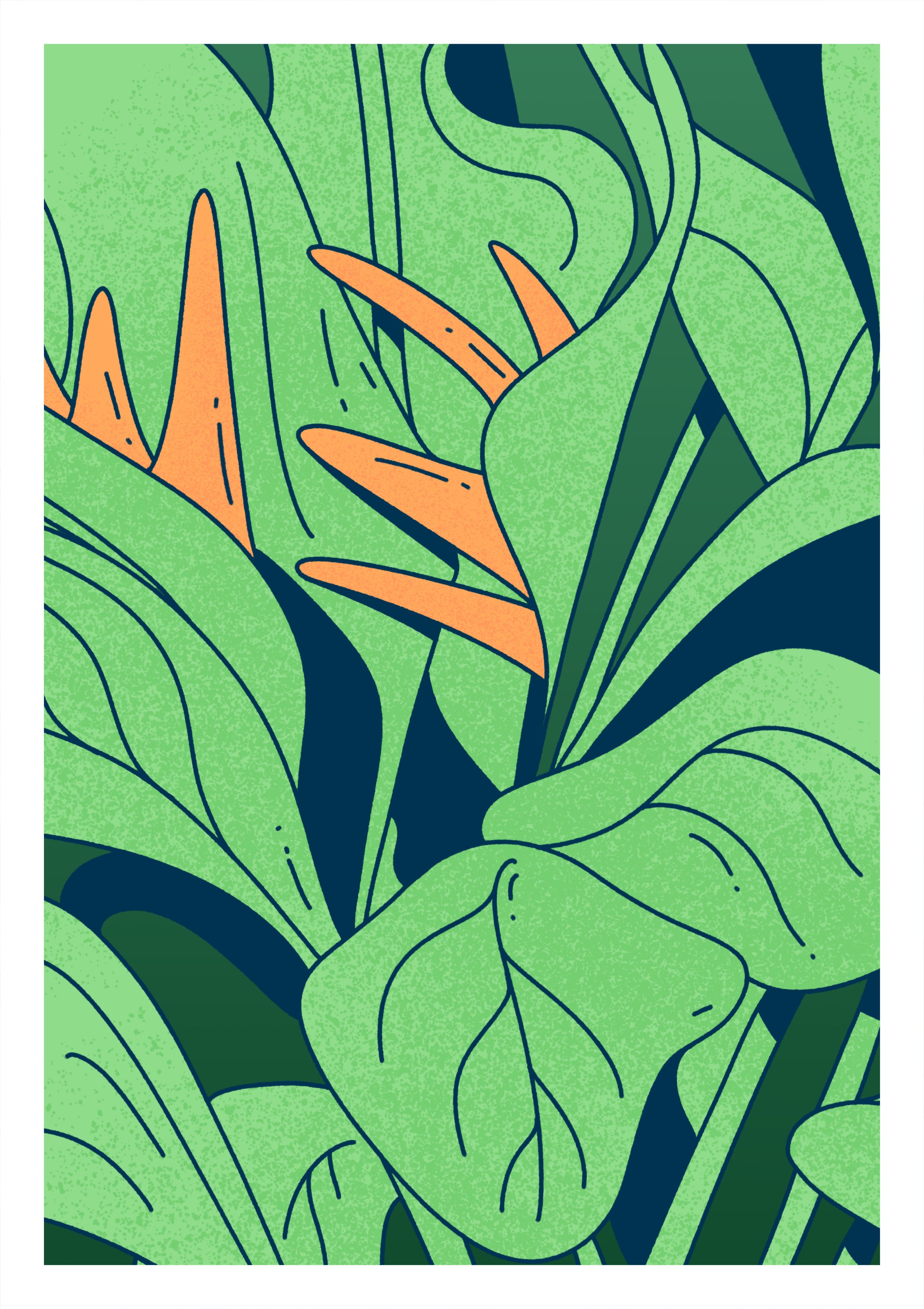 BIRD OF PARADISE - CROP - DAY.jpg