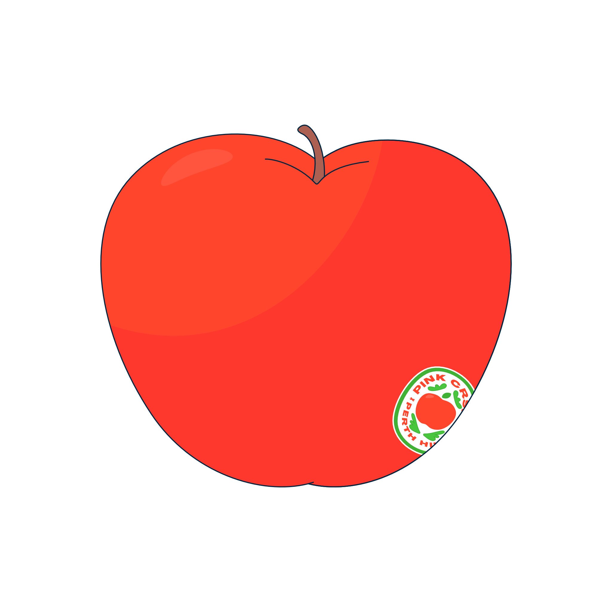 APPLE 25 V3.jpg