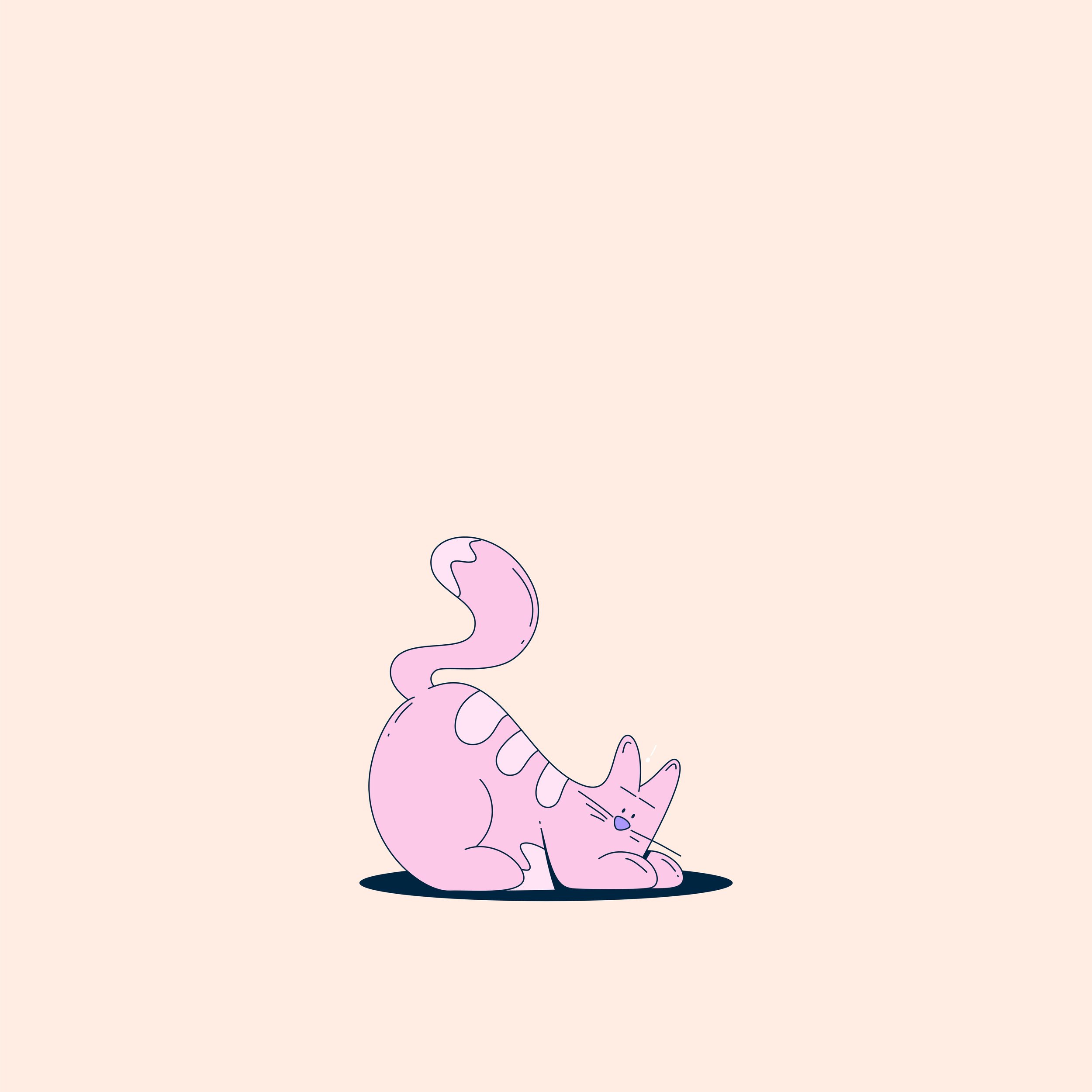 POUNCY.jpg