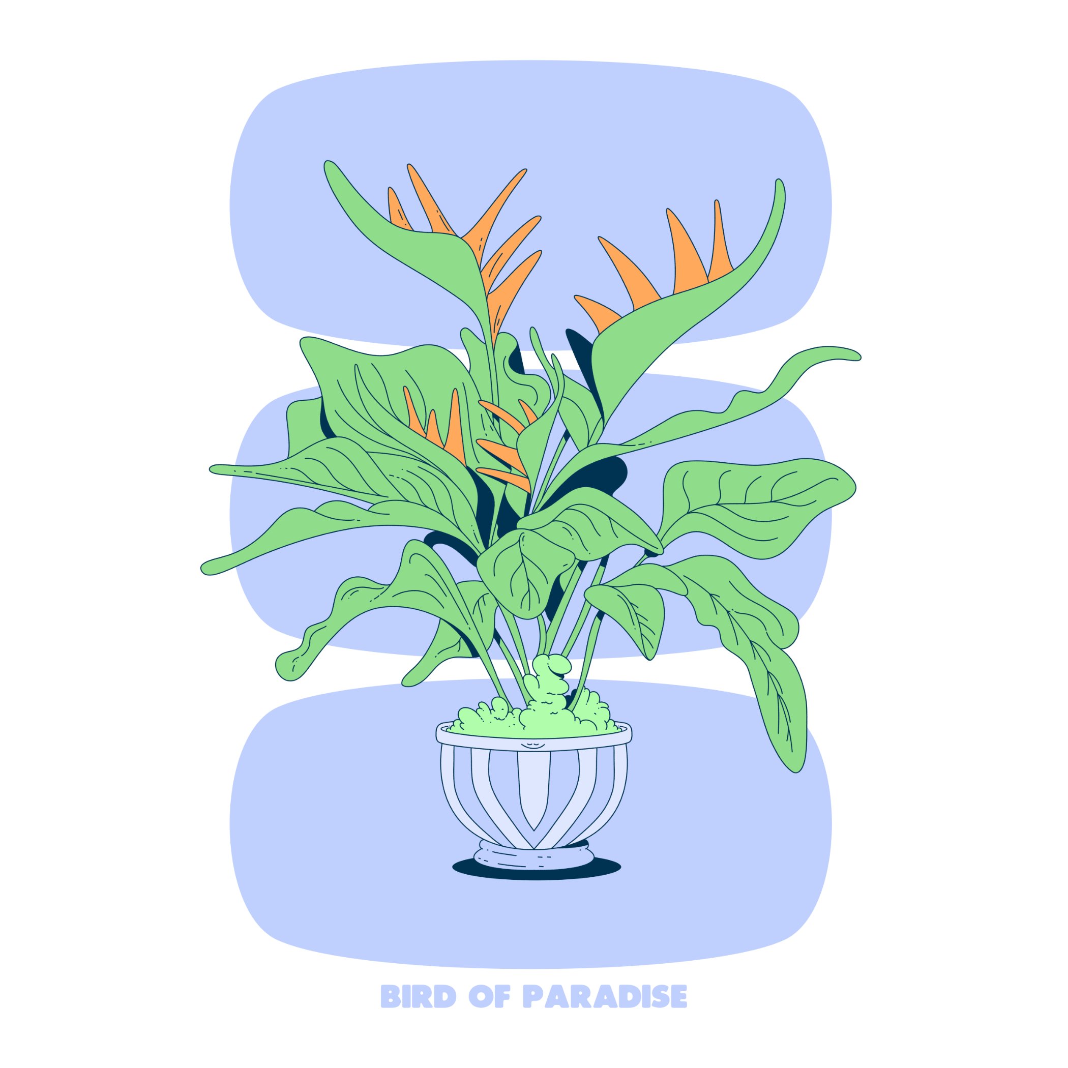 BIRD OF PARADISE - BLUE - SQ.jpg