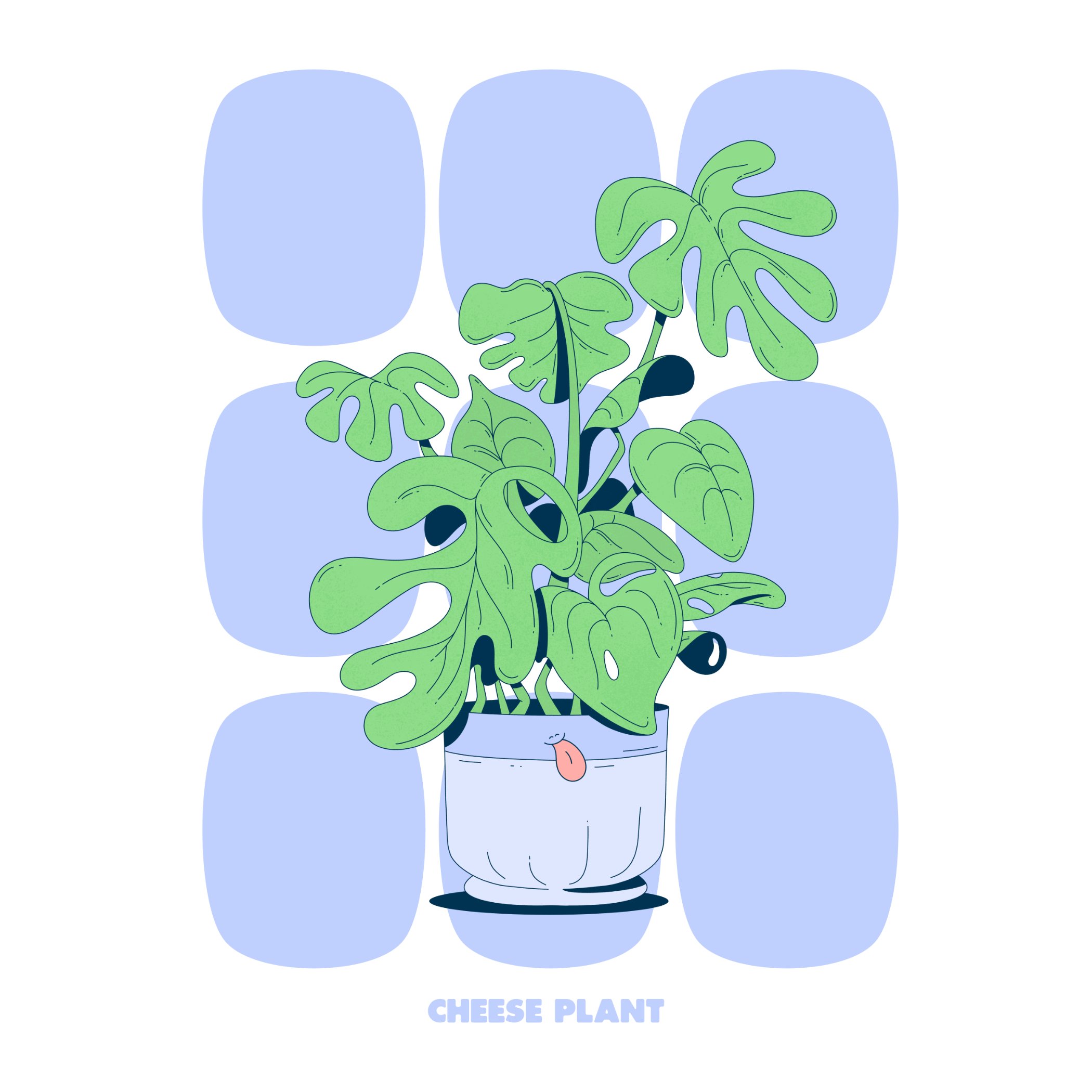 CHEESE PLANT - BLUE - SQ.jpg