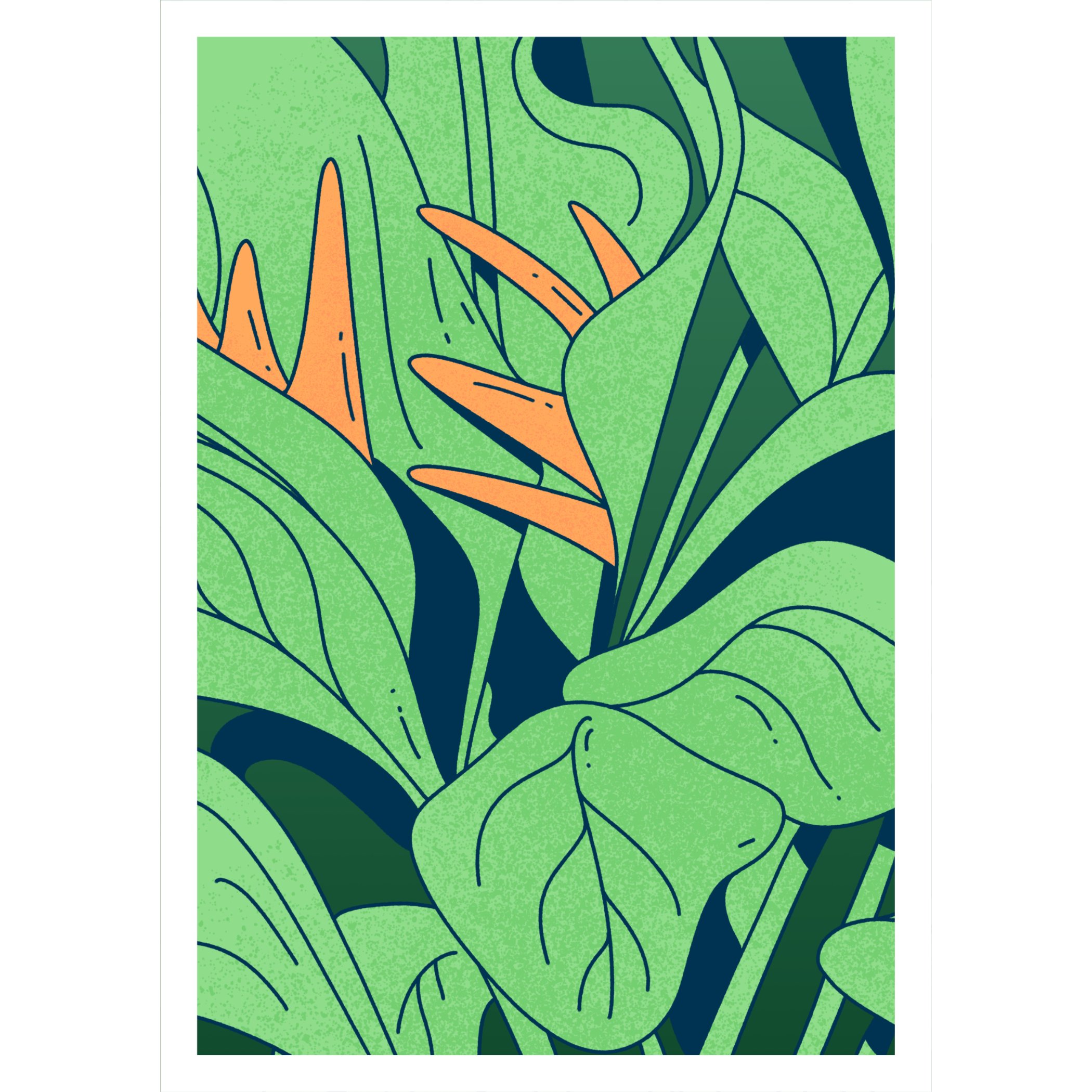 Bird Of Paradise - Day