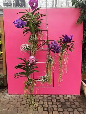 Atlanta Travel Guide 5.jpeg