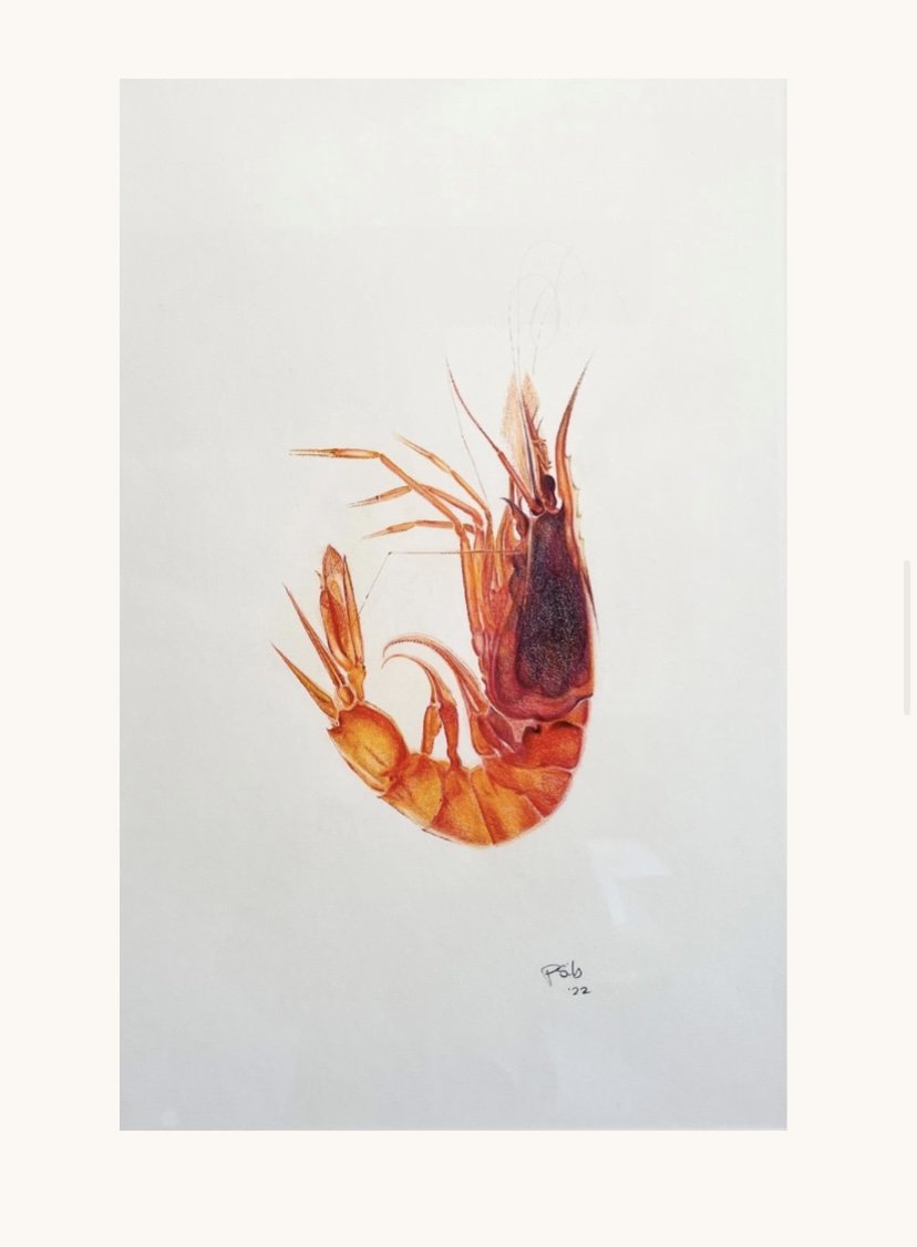 Prawn