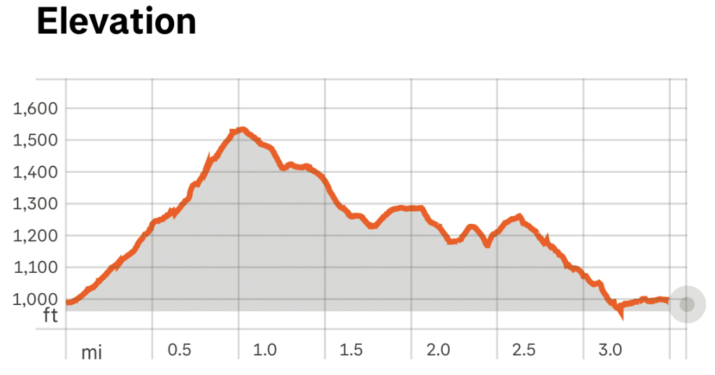 elevation graph of the race