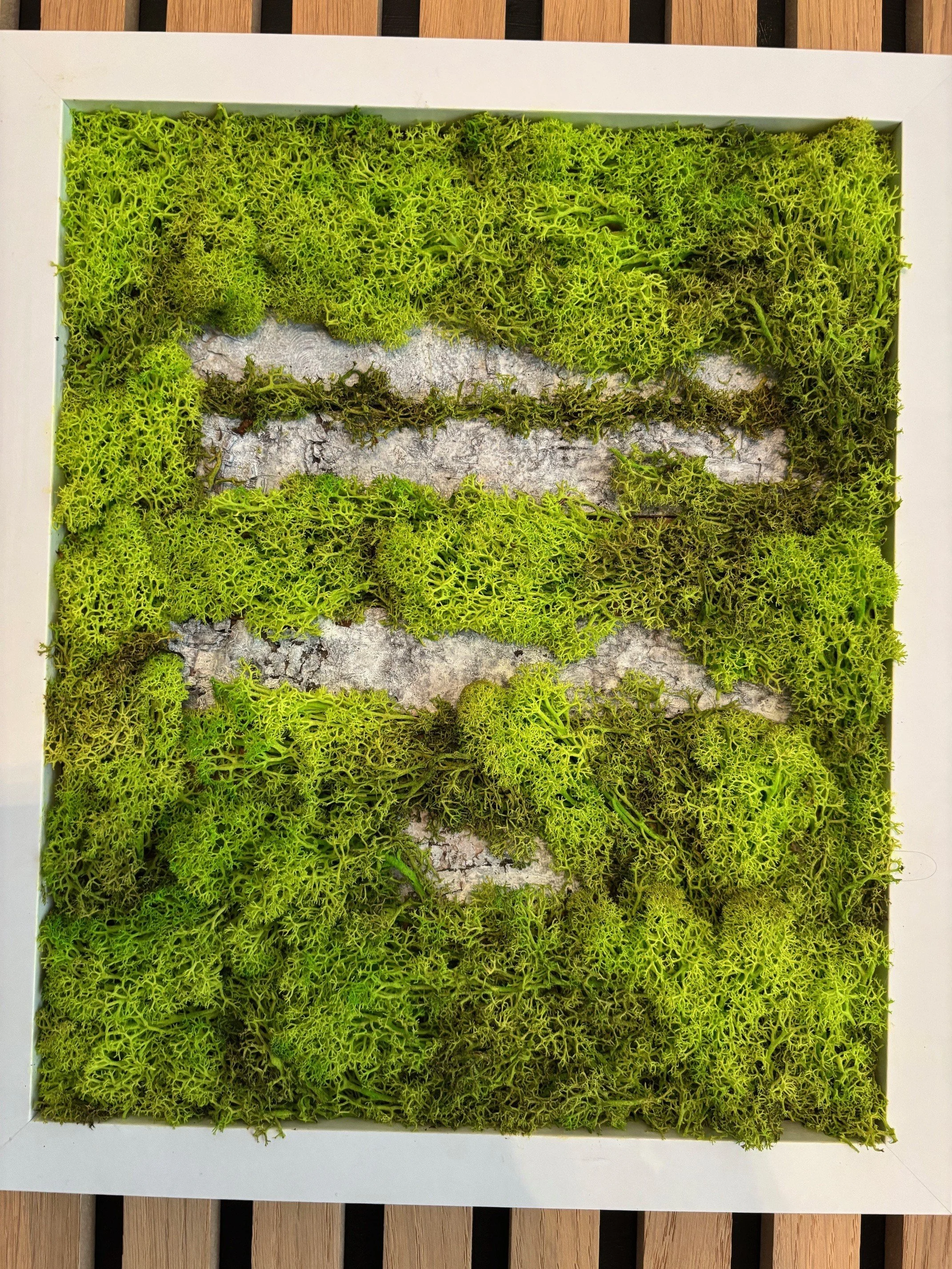 springtime front.jpg