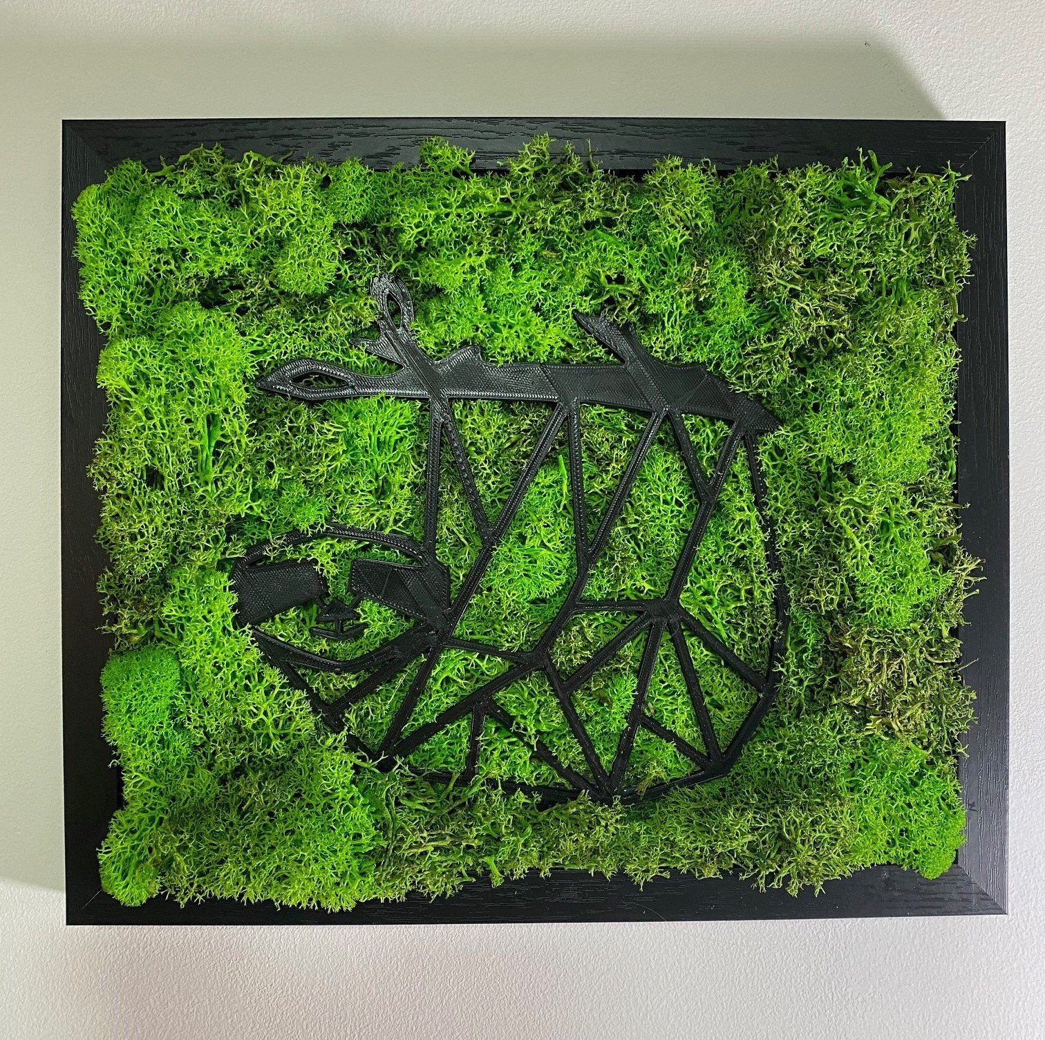 'The Lazy Sloth' Moss Wall Art