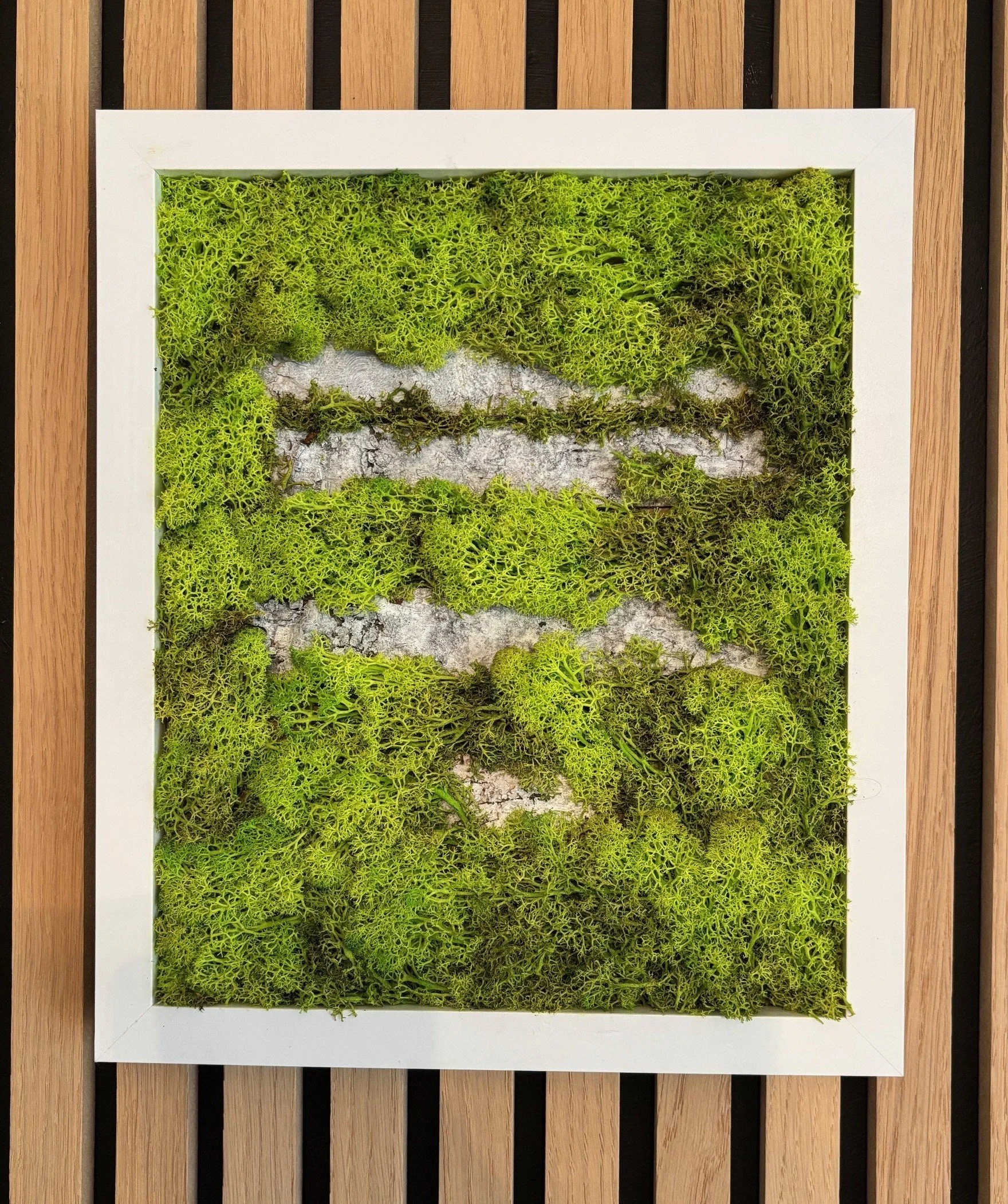 springtime front 1.jpg