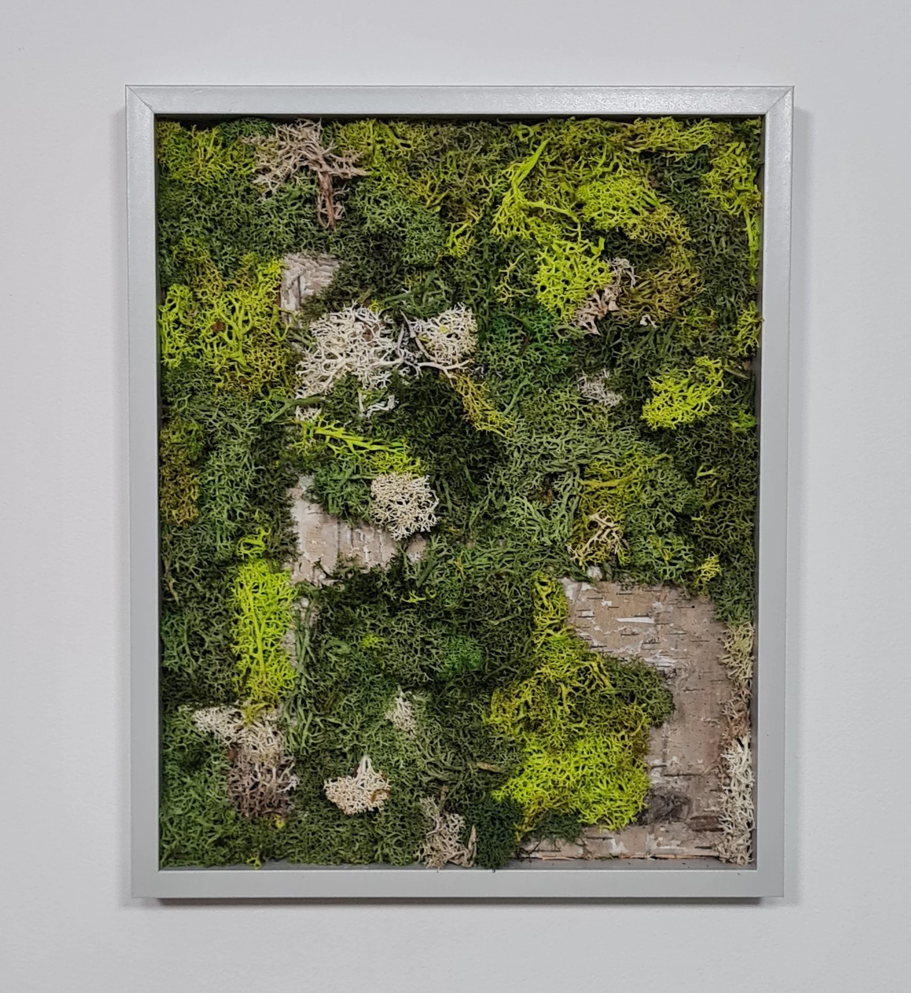 hand-made-moss-wall-art-designs-by-plantnations