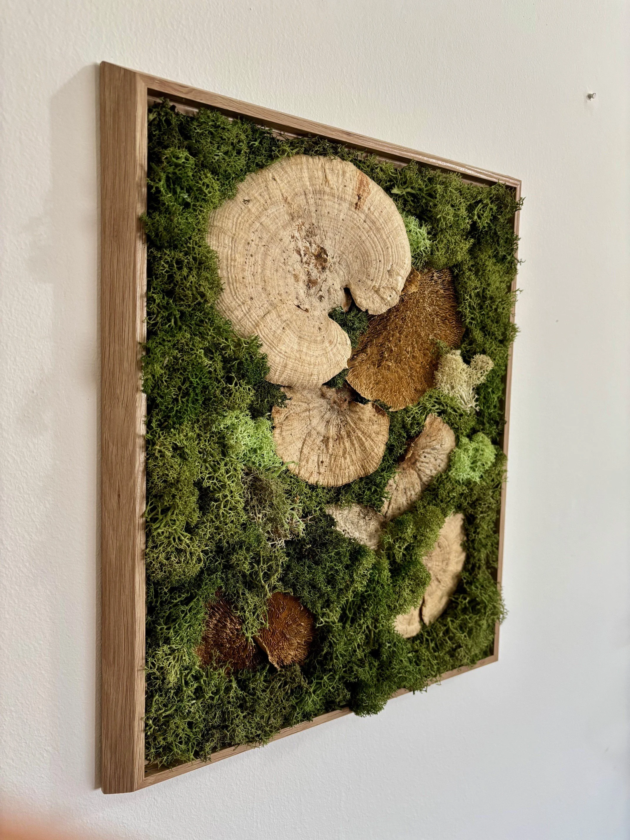 mushroom medley left may.jpg