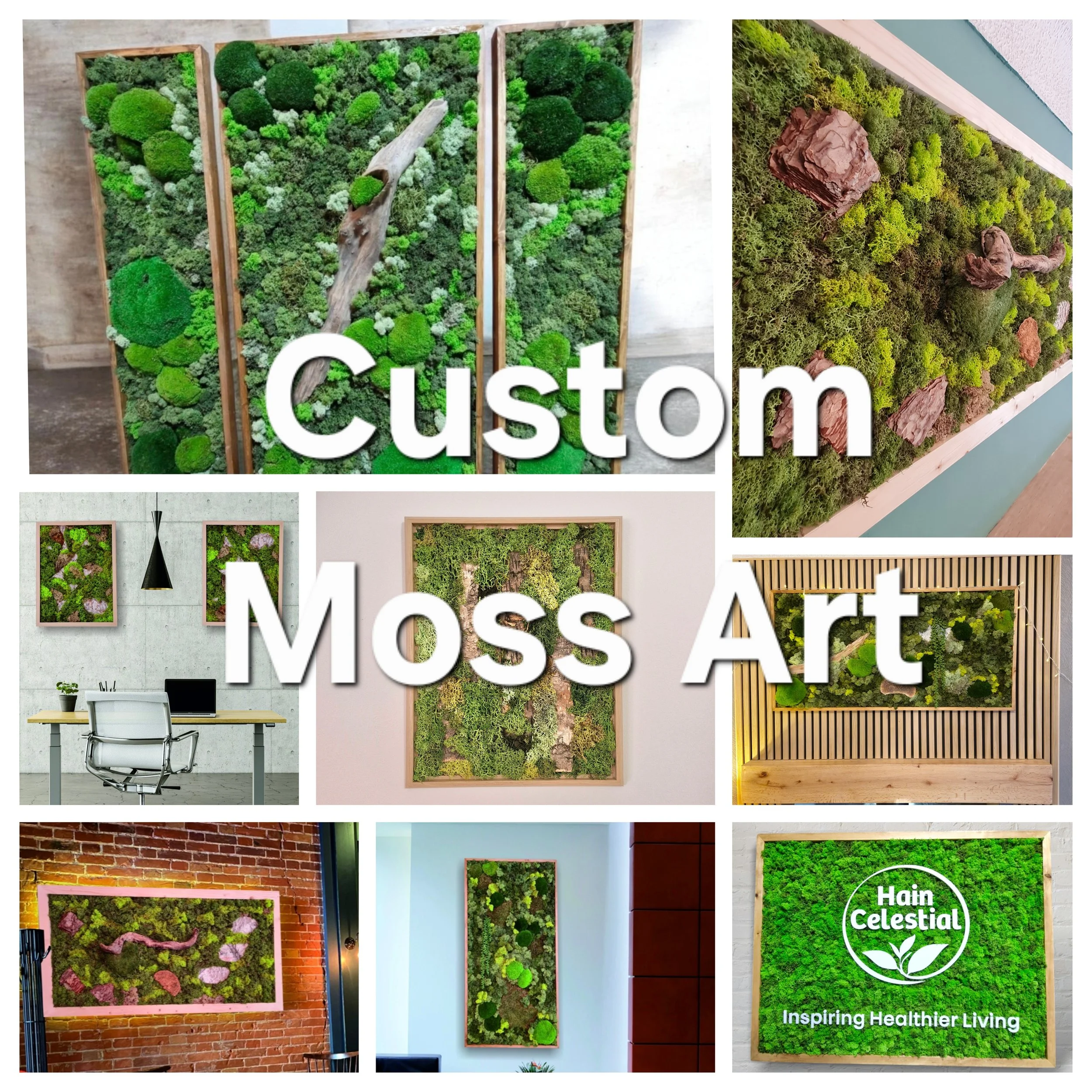 Custom Moss Art Order