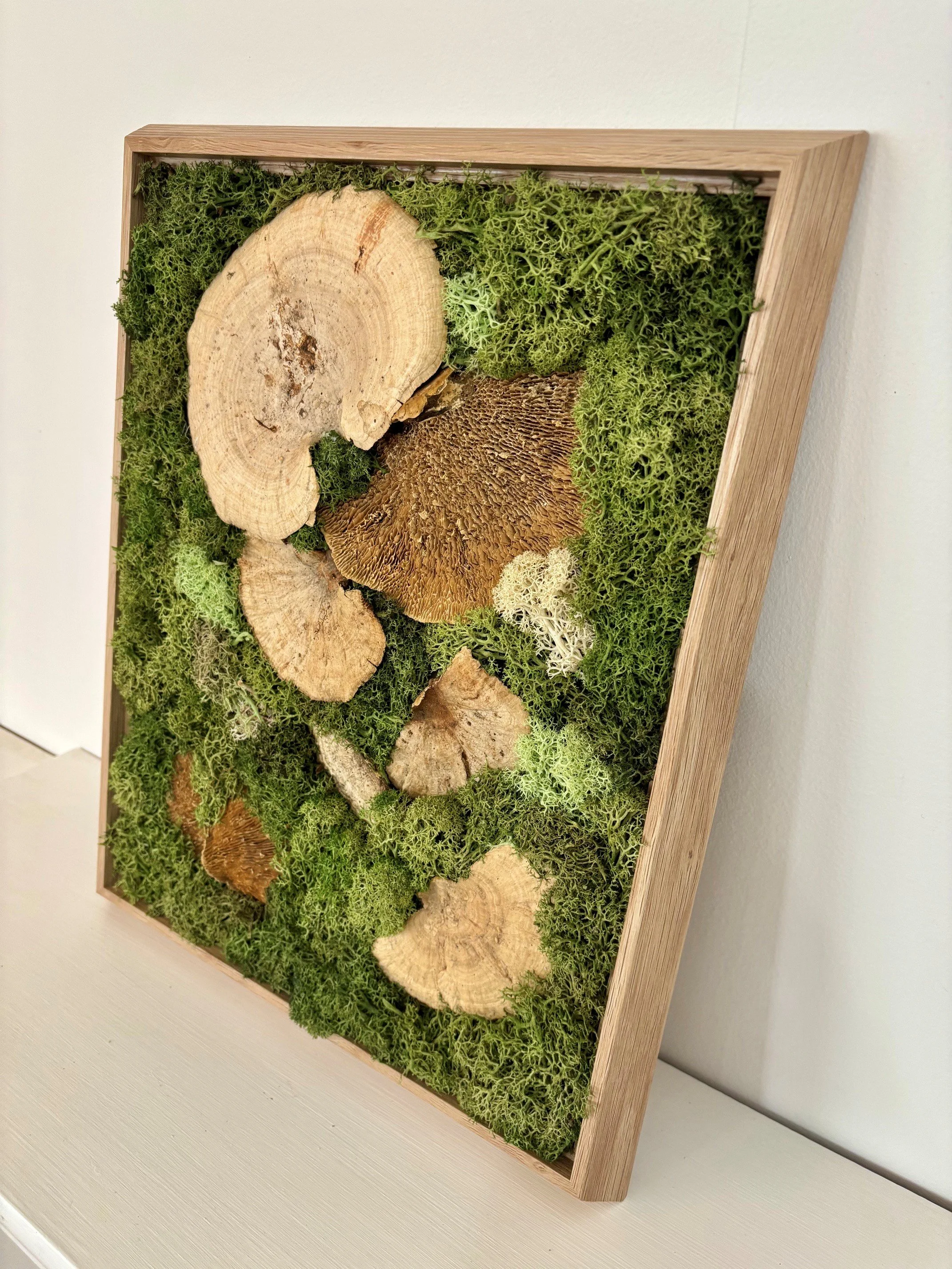 mushroom 5.jpg