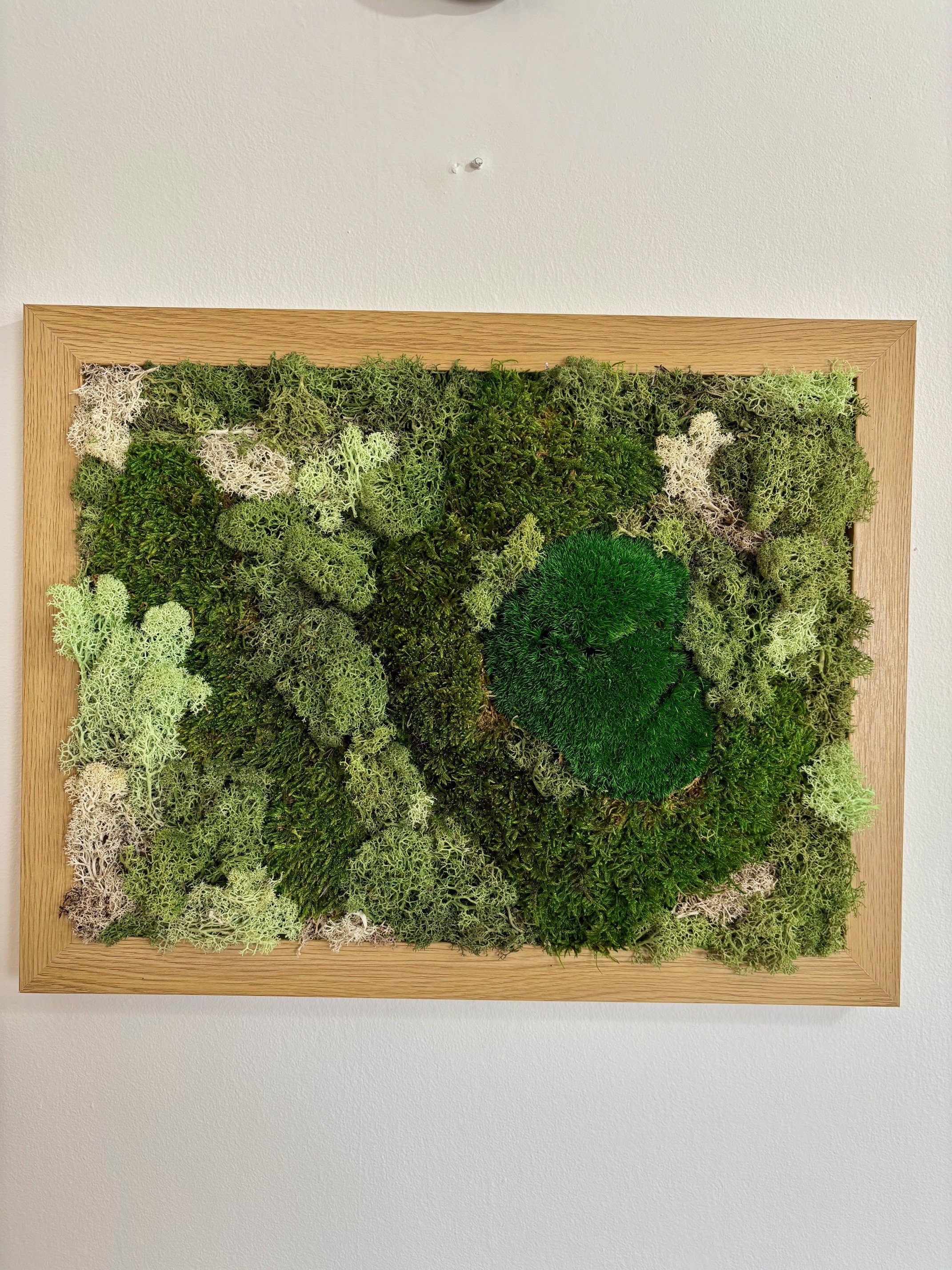 moss harmony front2.jpg