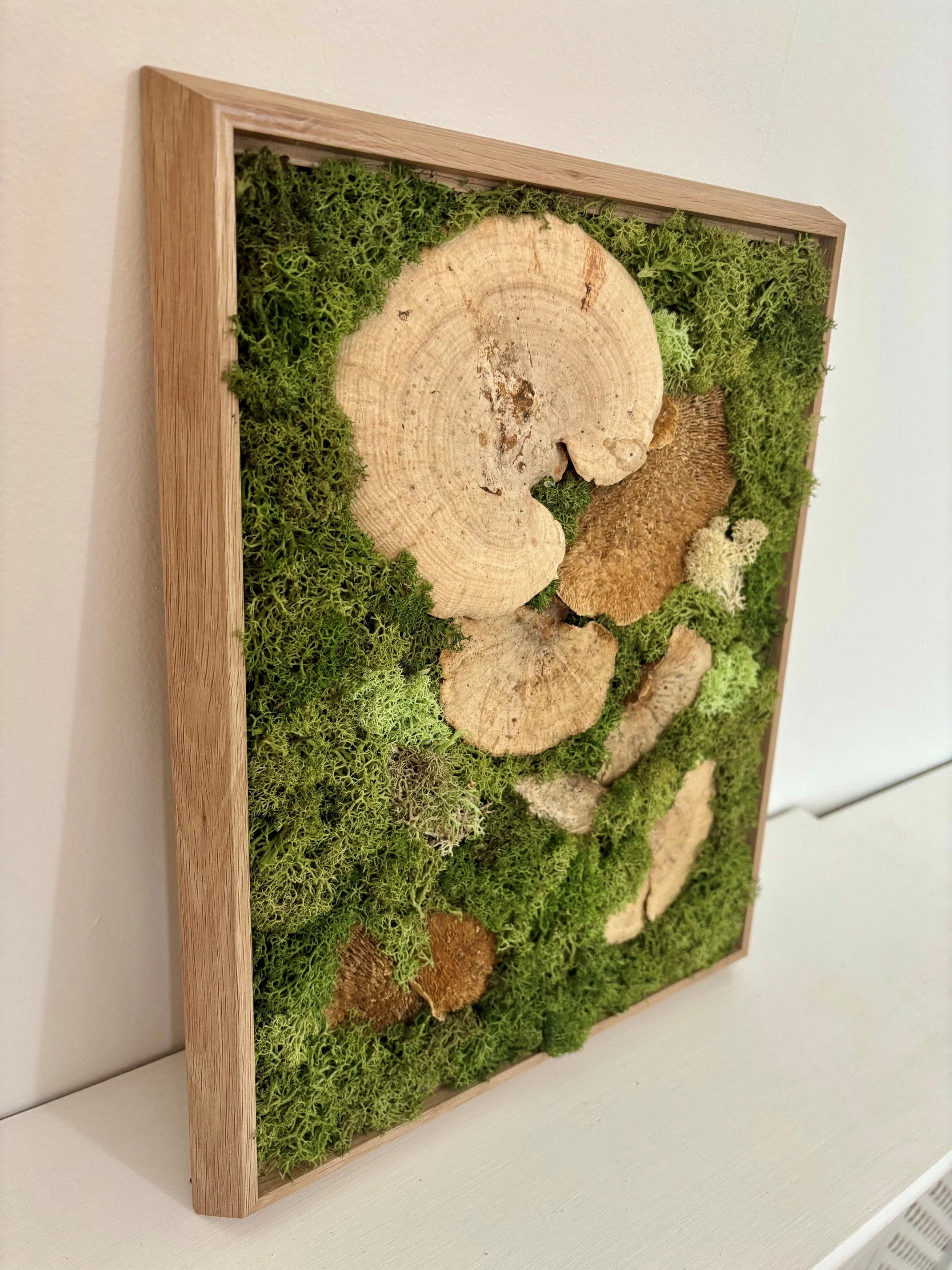 mushroom 6.jpg