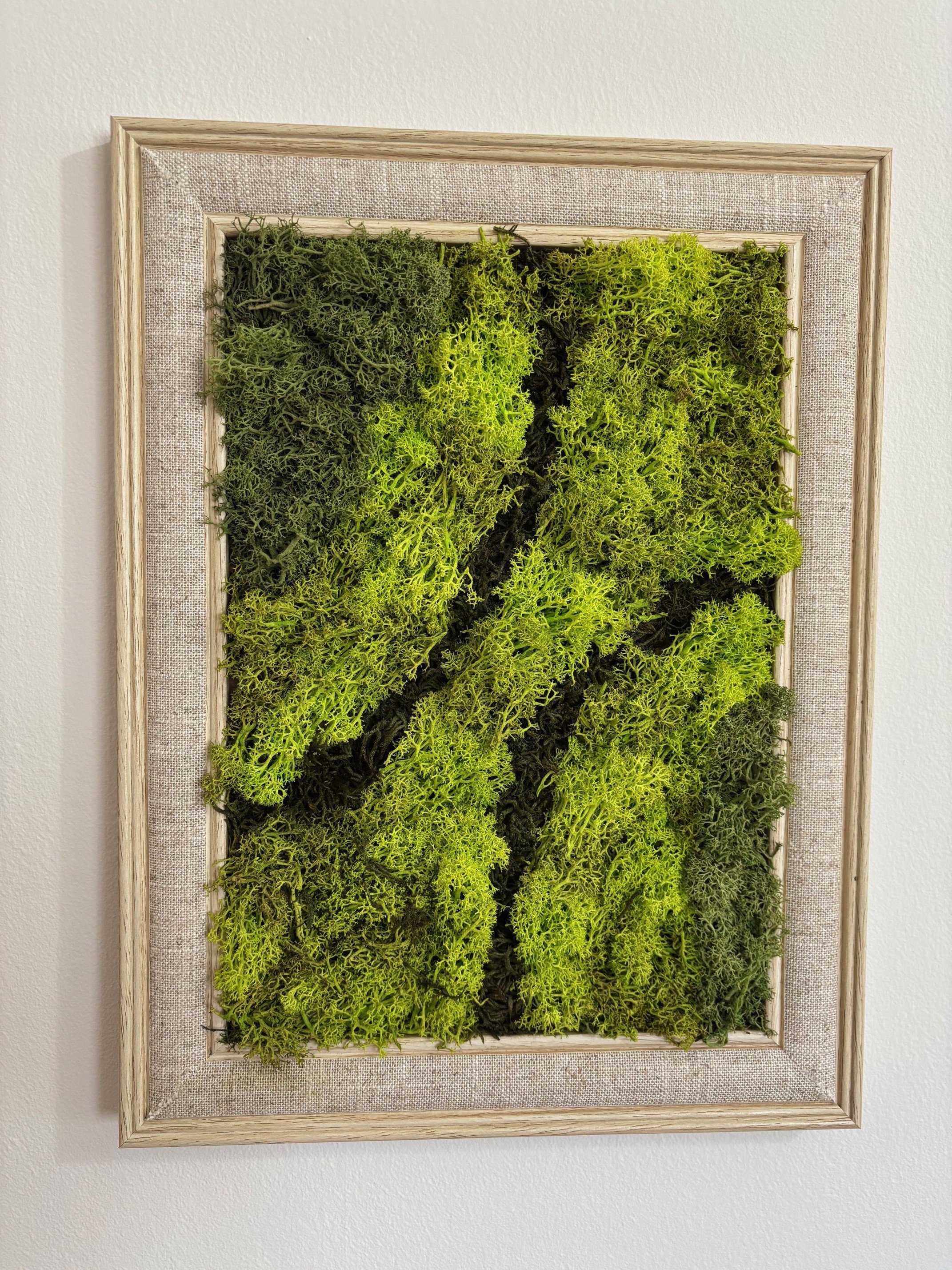 "Natures Balance" Preserved Moss Art