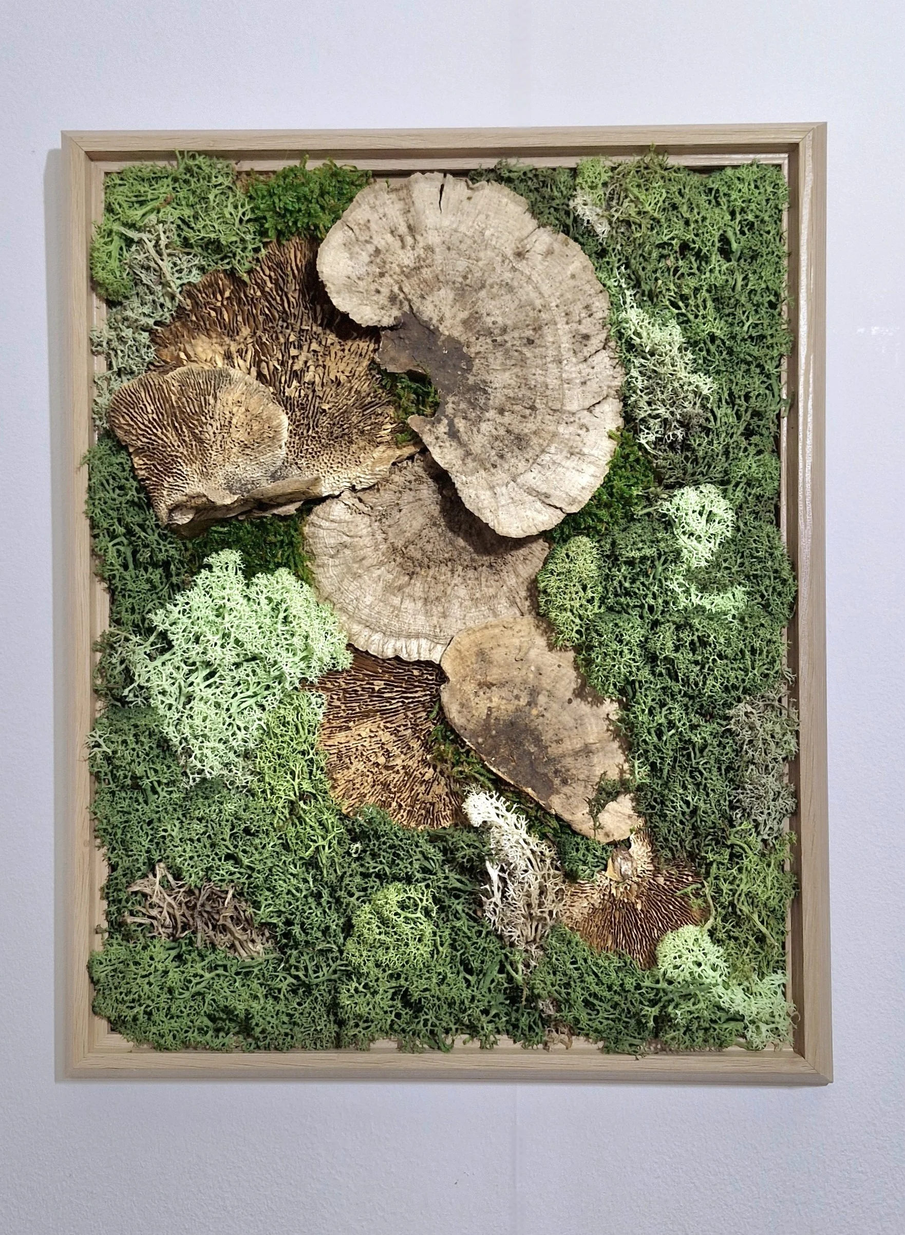 "Mushroom Medley" Moss Wall Art