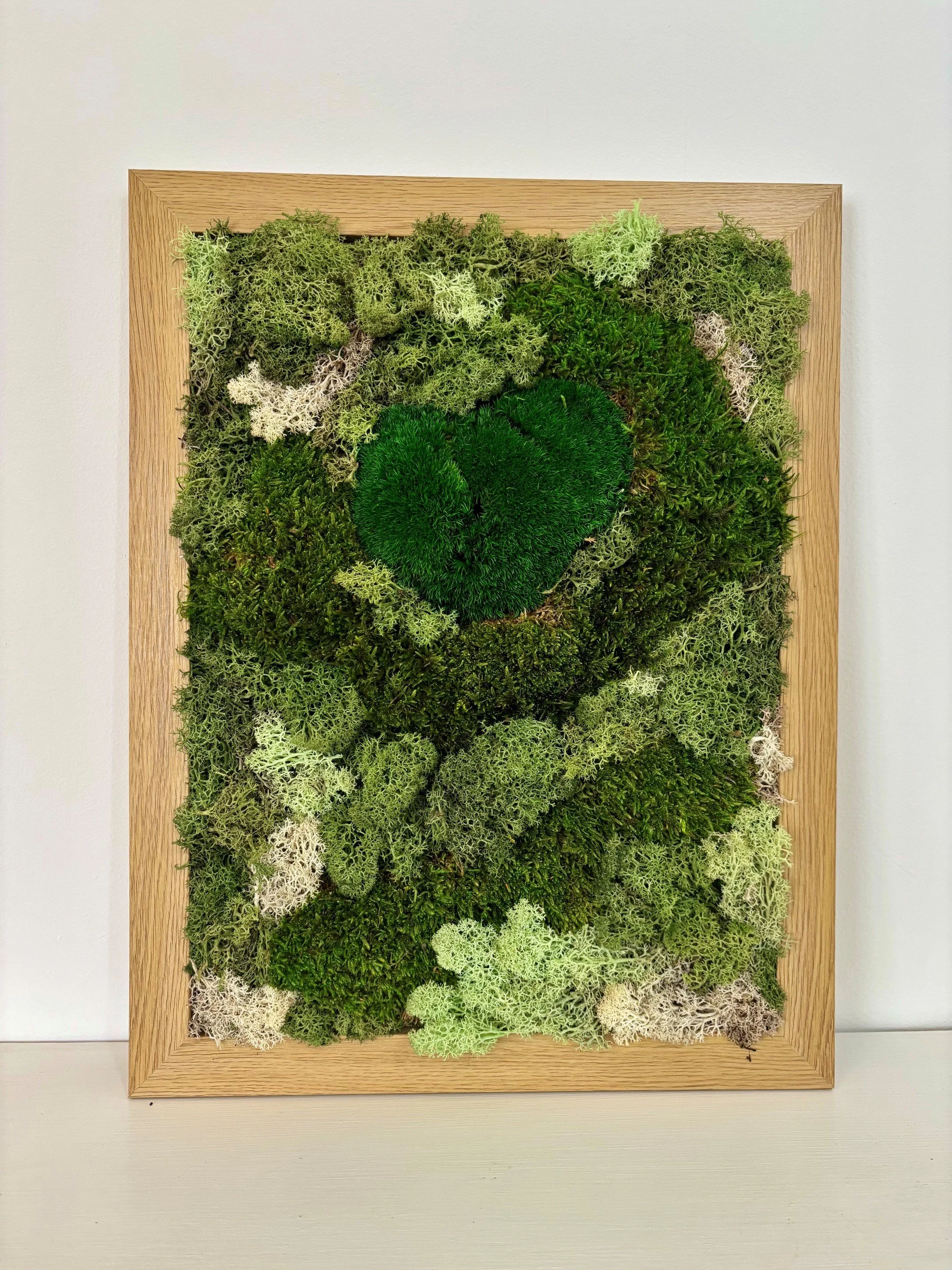 moss1.jpg