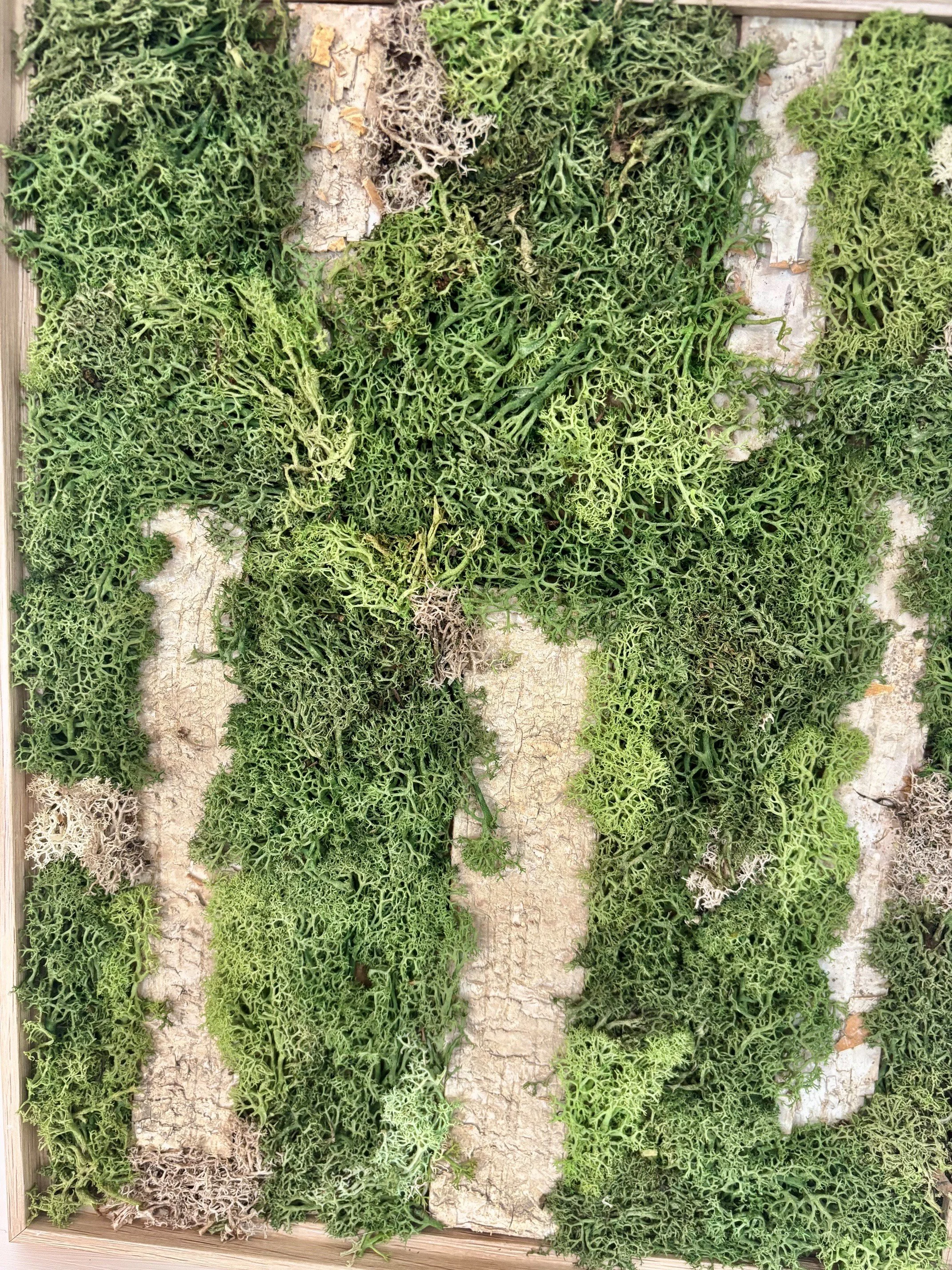 wood7.jpg