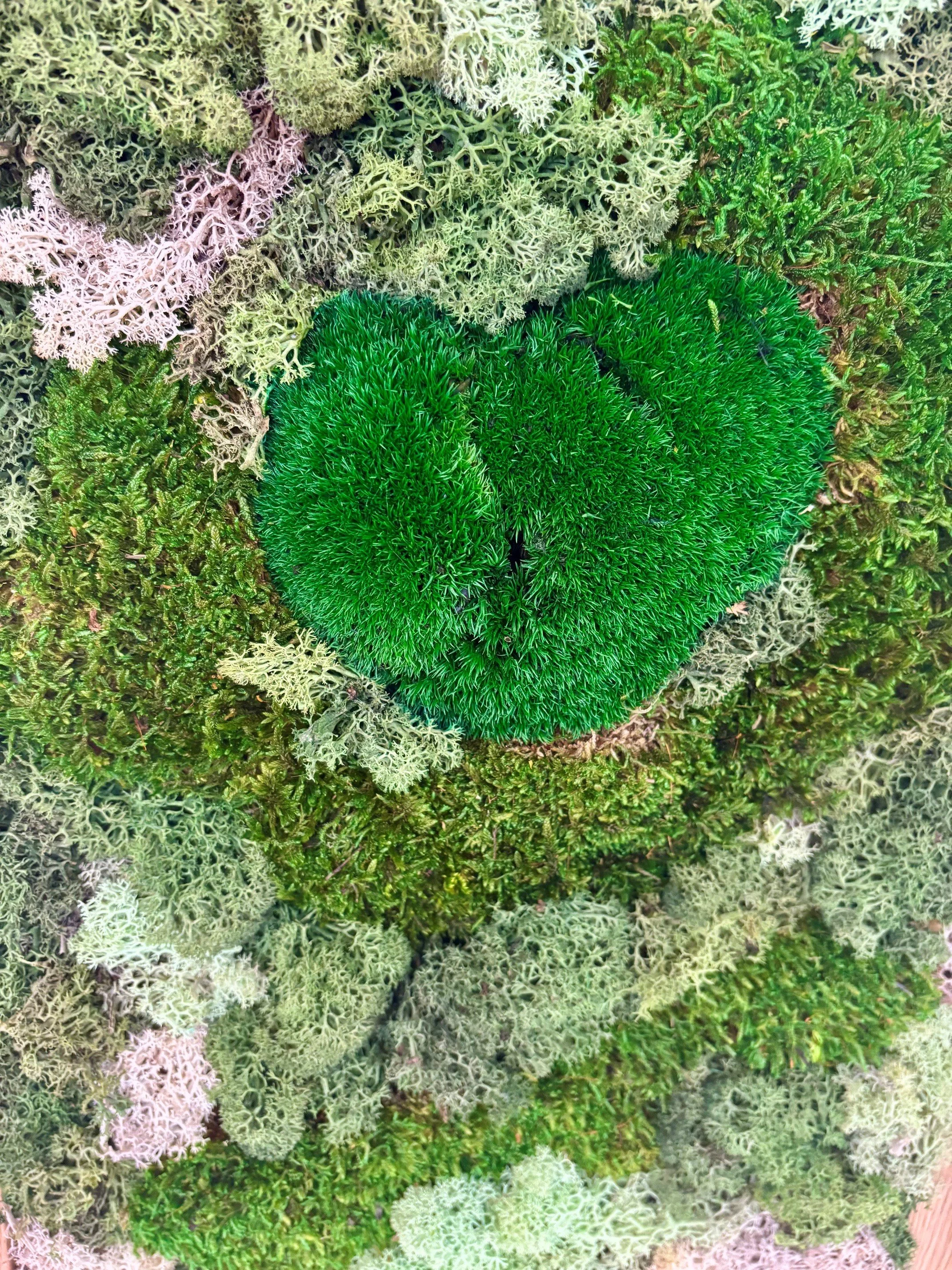 moss7.jpg